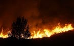 Flames rise near a tree on the ridge line above several homes on Twisp River Road just after midnight, Thursday, Aug. 20, 2015 in Twisp, Wash. Firefig