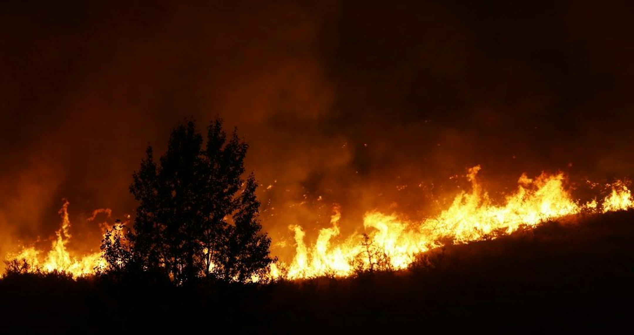 Flames rise near a tree on the ridge line above several homes on Twisp River Road just after midnight, Thursday, Aug. 20, 2015 in Twisp, Wash. Firefighters were in place trying to protect structures, and most residents were running irrigation sprinklers overnight in hopes of protecting their homes.