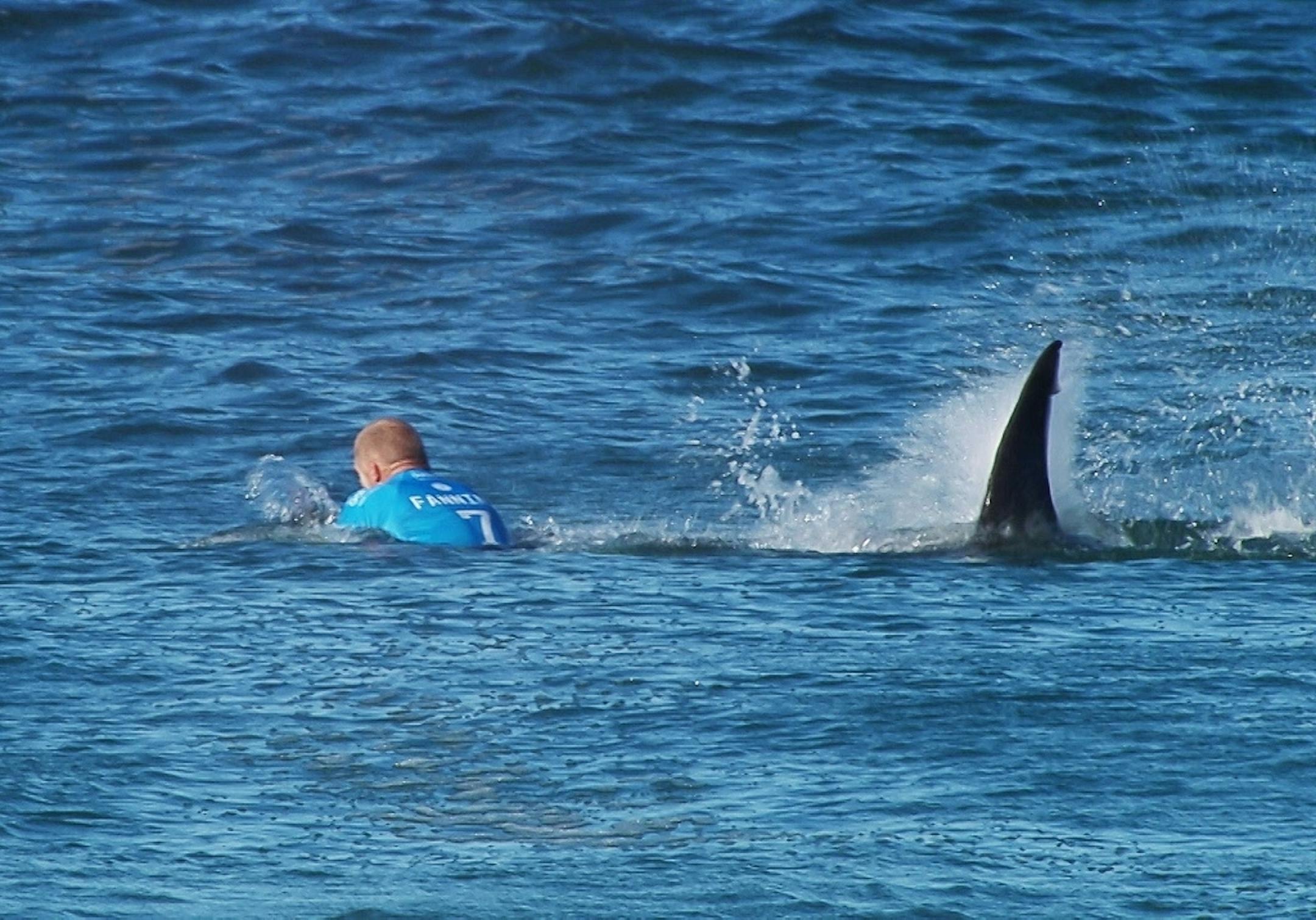 In this image made available by the World Surf League (www.worldsurfleague.com), Australian surfer Mick Flanning was pursued by a shark in Jeffrey's Bay, South Africa, on Sunday. Knocked off his board by an attacking shark, the surfer punched the creature during the televised finals of a world surfing competition in South Africa before escaping.