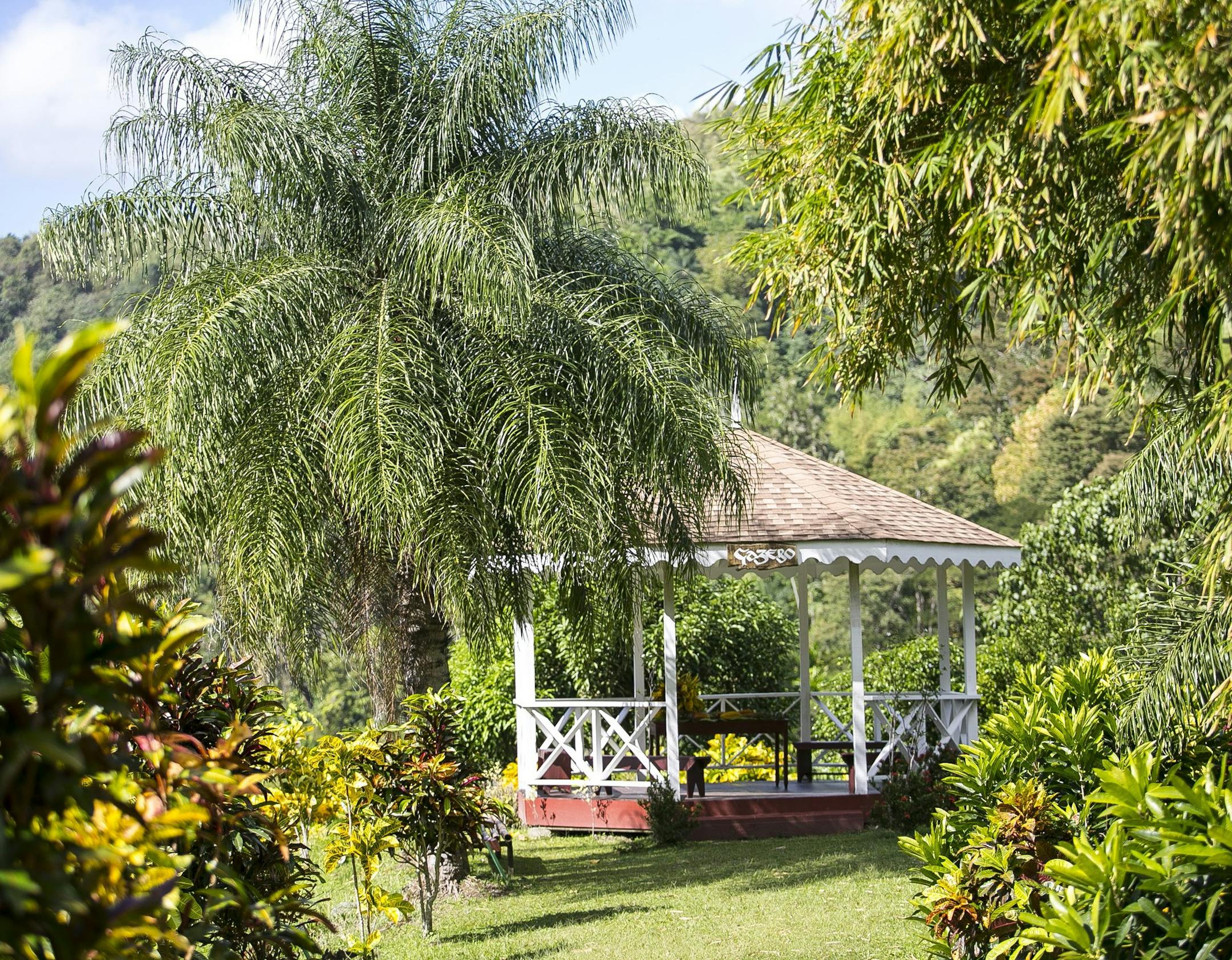 Tobago, in the Caribbean, is an off-the-beaten track island filled with culture and curiosities. Photos by Jeanine Barone, special to the Star Tribune