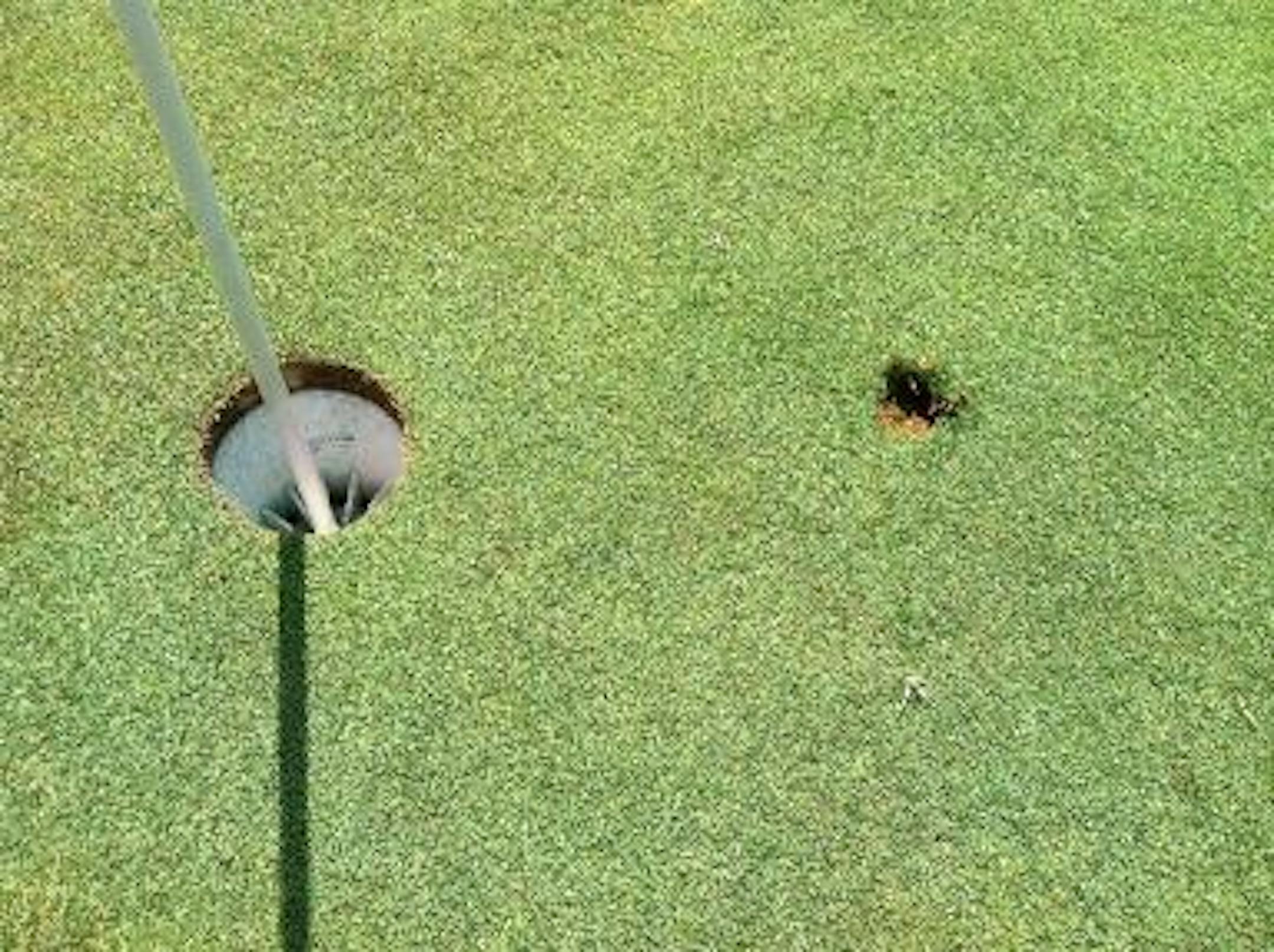 The divot on No. 6. I have a non-golfer to thank.