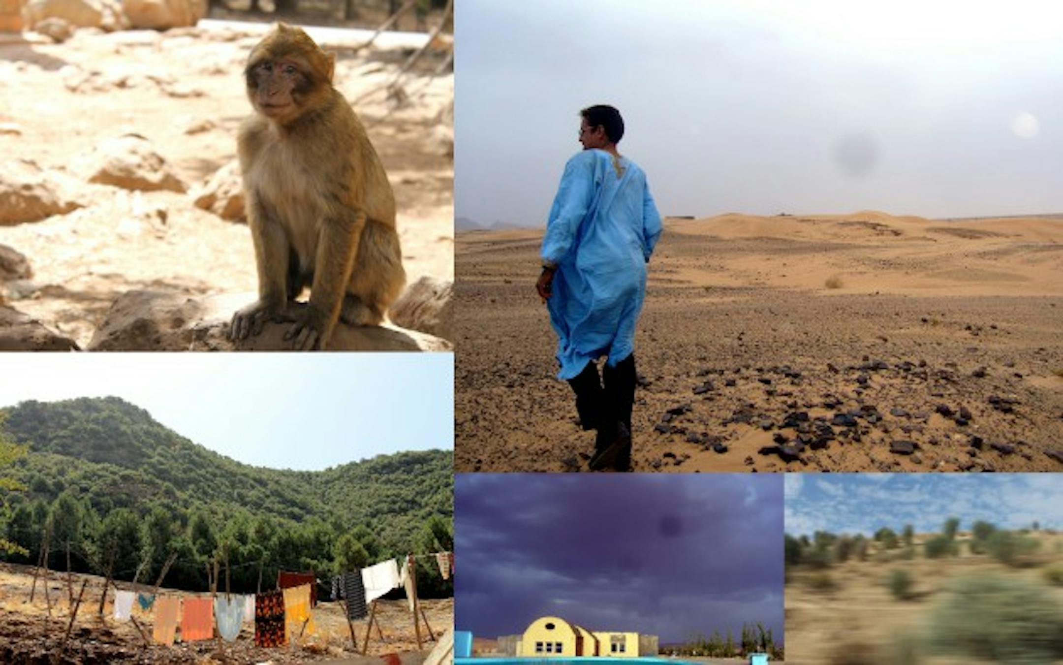 Monkeys, pre-Sahara, Middle Atlas Azrou and a stormy sky over Midelt.