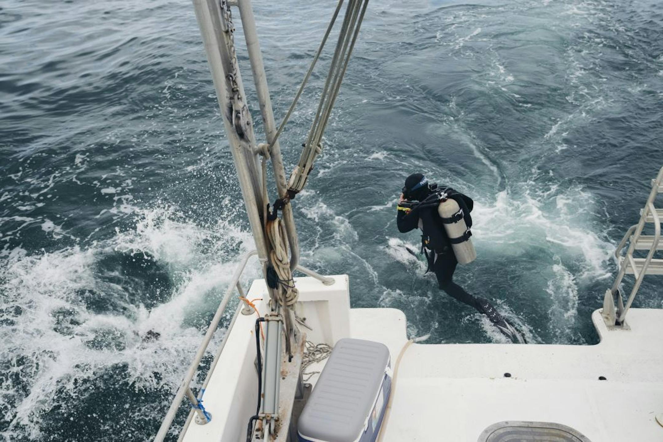 Bailey Miller, a researcher at the University of Utah, on a dive to explore an ancient underwater forest off Dauphin Island, Ala., Dec. 10, 2019. Before a 60,000-year-old submerged forest disappears, scientists recently raced to search for shipworms and other sea life that might conceal medicine of the future.