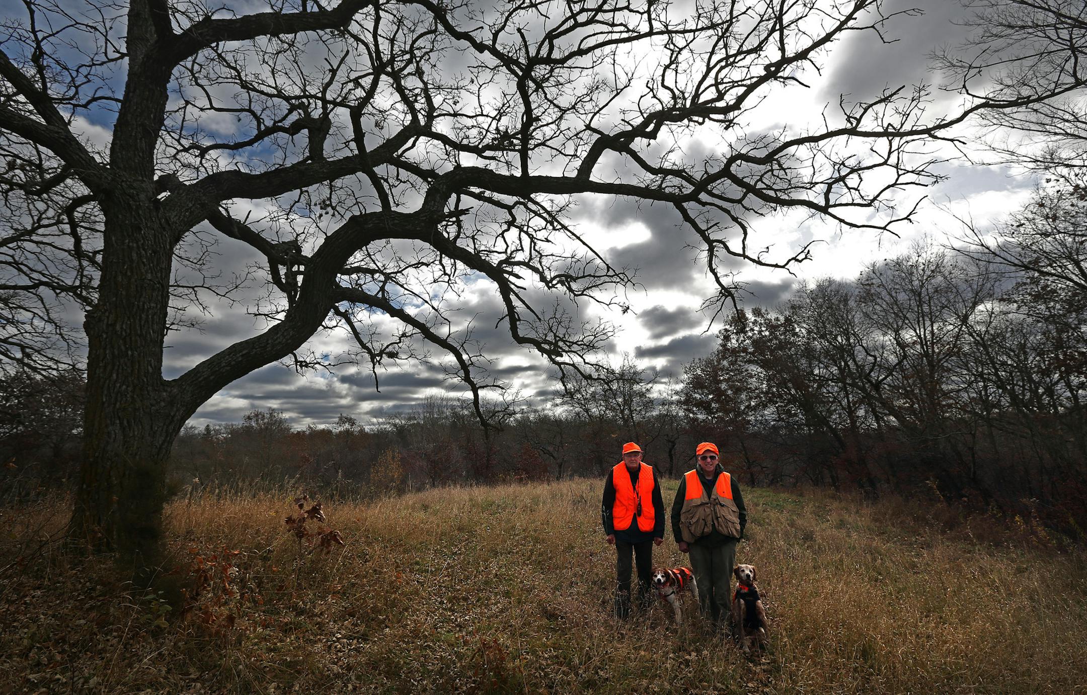 Longtime friends Ed Crozier, right, and Dick Duerre with their hunting dogs, Patch and Scout, in Bloomington. “They’re a good pair,” Ed says of the French Brittany spaniels. “Better than Dick and I.”