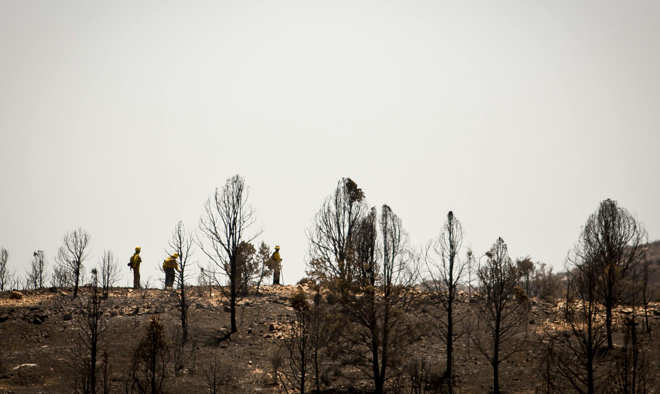 Firefighters work on the Yarnell Hill Fire in Yarnell, Ariz., July 3, 2013. Nineteen of the 20 members of the Granite Mountain Hotshots, an elite firefighting crew, died on Sunday while fighting the Yarnell Hill Fire. (Max Whittaker/The New York Times)