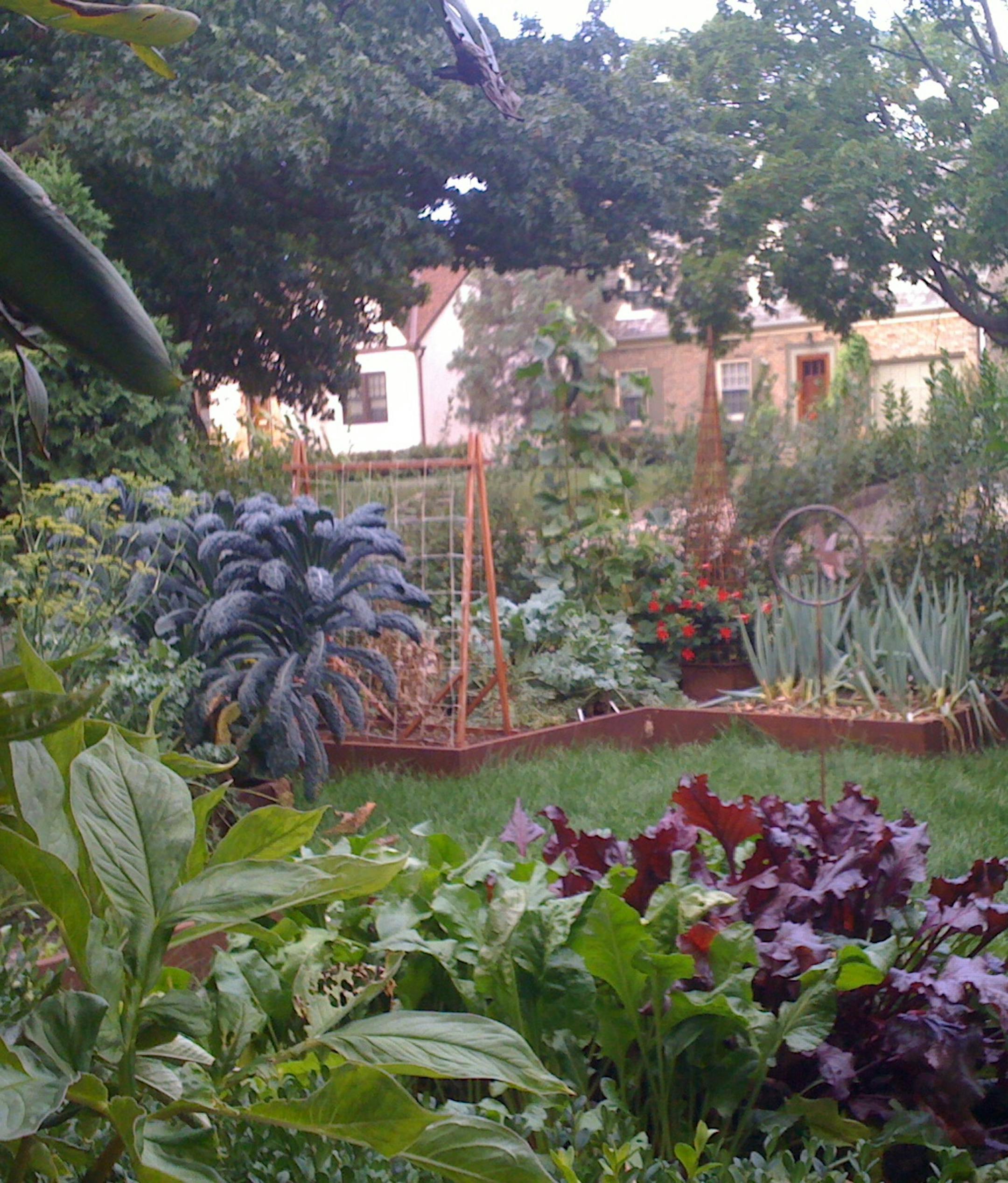 provided photo The front-yard vegetable garden tended by Joyce Johannson and Brian MacDonald in Minneapolis.