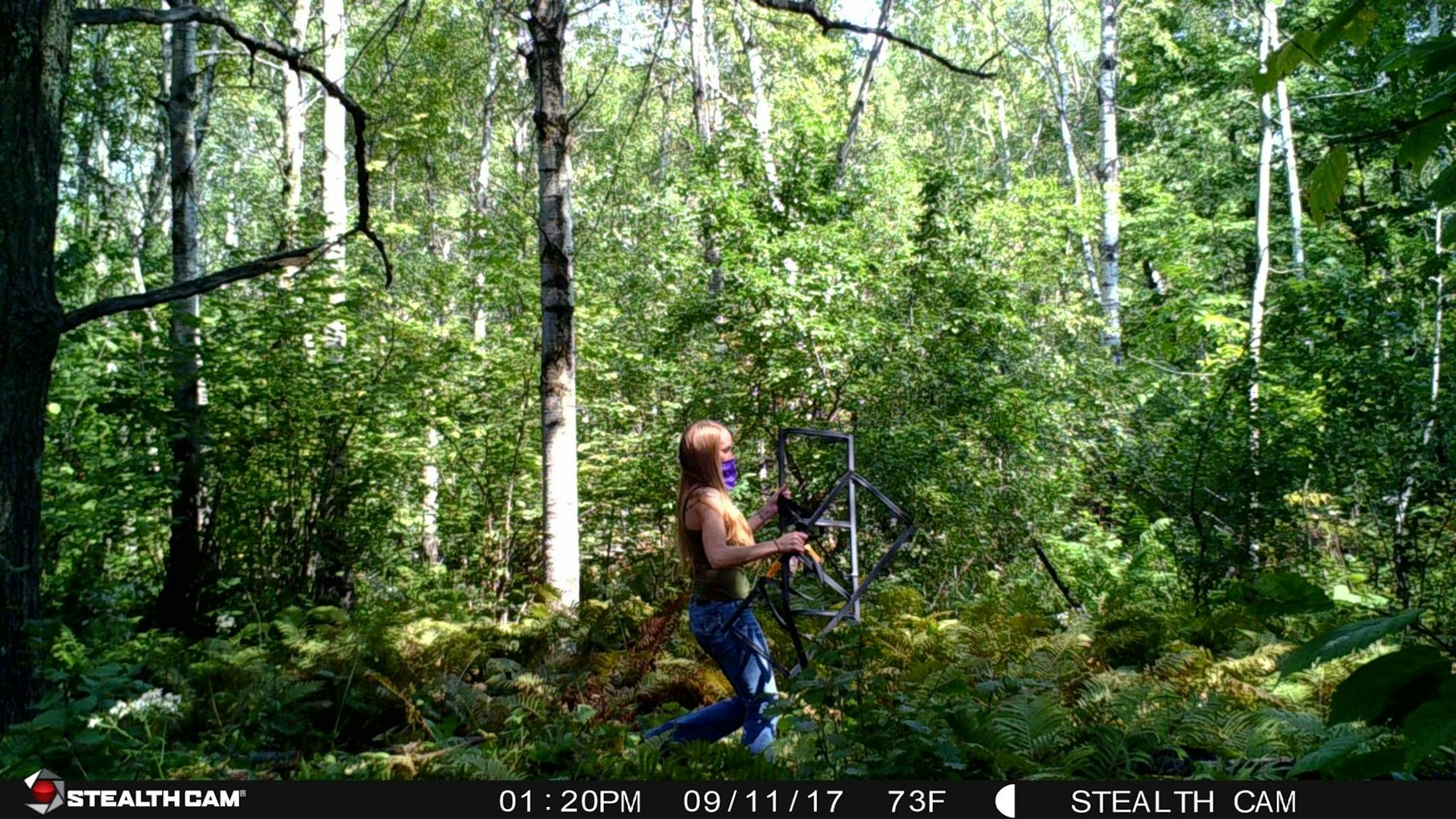 Photographs of at least two thieves in action were posted to the Duluth Police Department's Facebook page.