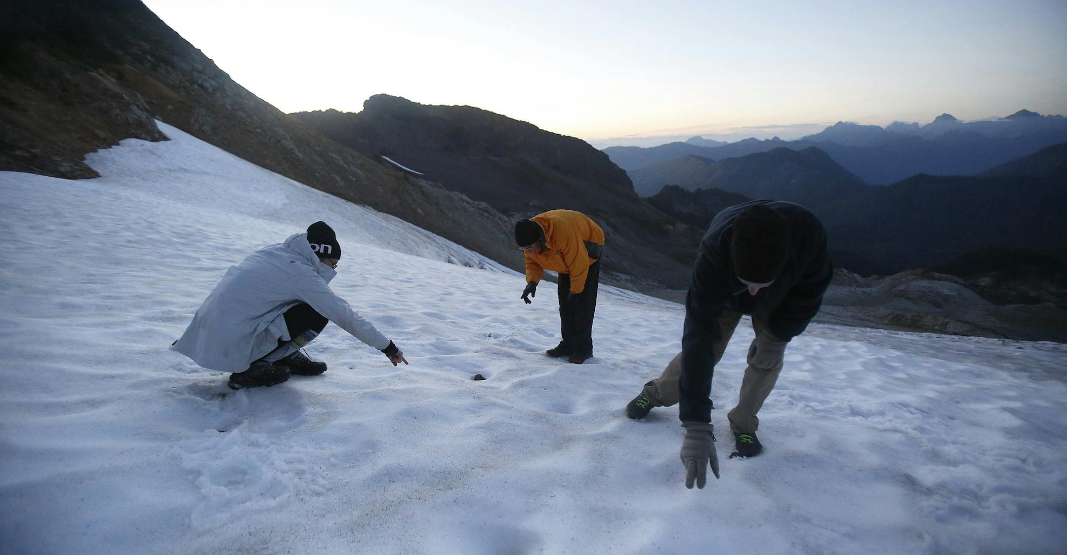 Glaciologist Mauri Pelto, right, with his son Ben, center, and research assistant Erica Nied, left, do an abundance count of ice worms on a snow field near Sholes Glacier on Aug. 7, 2015 on the northeast slope of Mount Baker. (Sy Bean/Seattle TImes/TNS)