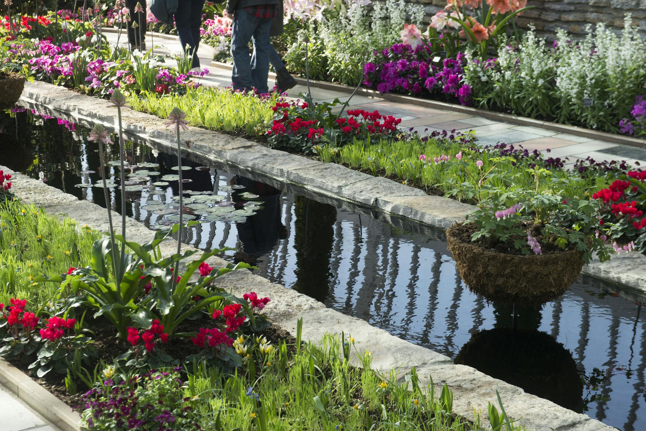 Visitors reflect in a small pond that is bordered by flowers.] BRIDGET BENNETT SPECIAL TO THE STAR TRIBUNE &#x2022; bridget.bennett@startibune.com To escape the cold weather, many visitors enjoyed warm temperature as they passed through the McNeely Conservatory in St. Paul, MN. Friday, Feb. 27, 2015 at Marjorie McNeely Conservatory in St. Paul, MN. Side note, the real name is Marjorie McNeely Conservatory but I have hear it often referred to as the como park conservatory or como conservatory. No