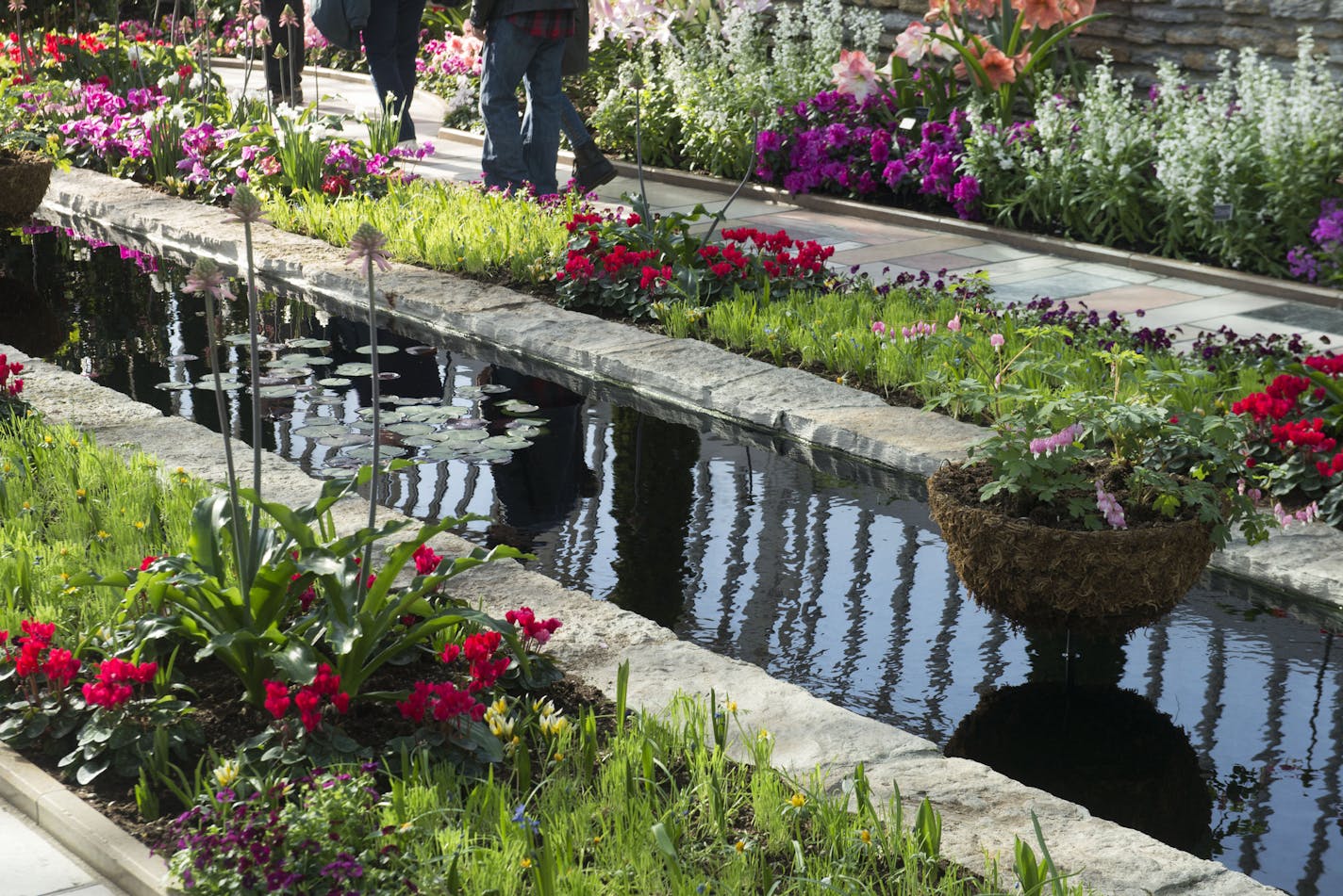 Visitors reflect in a small pond that is bordered by flowers.] BRIDGET BENNETT SPECIAL TO THE STAR TRIBUNE &#x2022; bridget.bennett@startibune.com To escape the cold weather, many visitors enjoyed warm temperature as they passed through the McNeely Conservatory in St. Paul, MN. Friday, Feb. 27, 2015 at Marjorie McNeely Conservatory in St. Paul, MN. Side note, the real name is Marjorie McNeely Conservatory but I have hear it often referred to as the como park conservatory or como conservatory. No