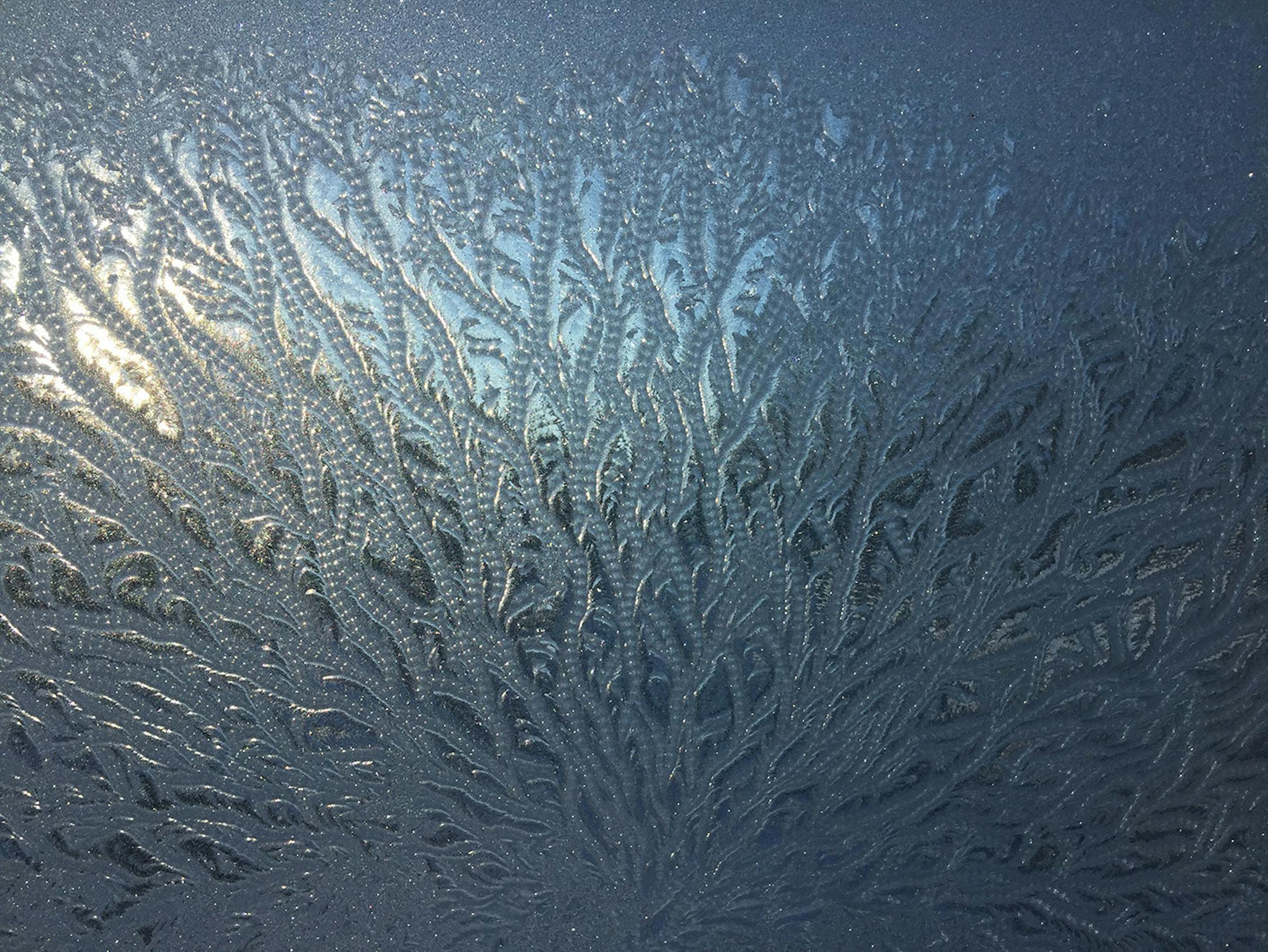 Marion McNurlen of Edina made a commitment to herself last month to find something beautiful about each winter day. She didn't have to go far for this one, her bathroom window at sunrise when the temperature was south of 15 below. [focus012217