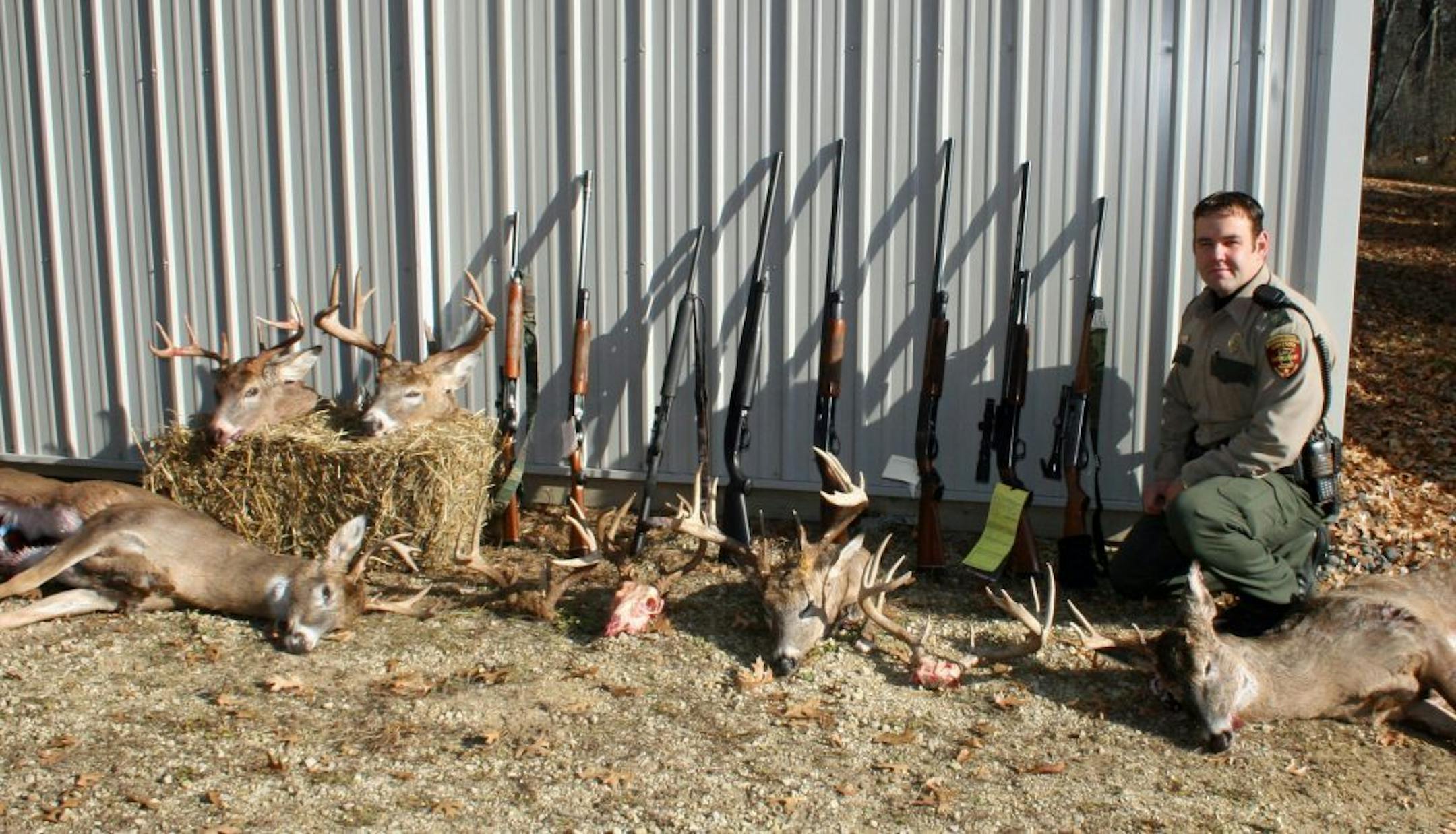 DNR photo Conservation officer Travis Muyres displays eight guns and eight deer he confiscated in deer poaching cases this season. Three of the guns were seized in baiting cases. Despite a DNR crackdown in recent years, baiting persists, officers say.