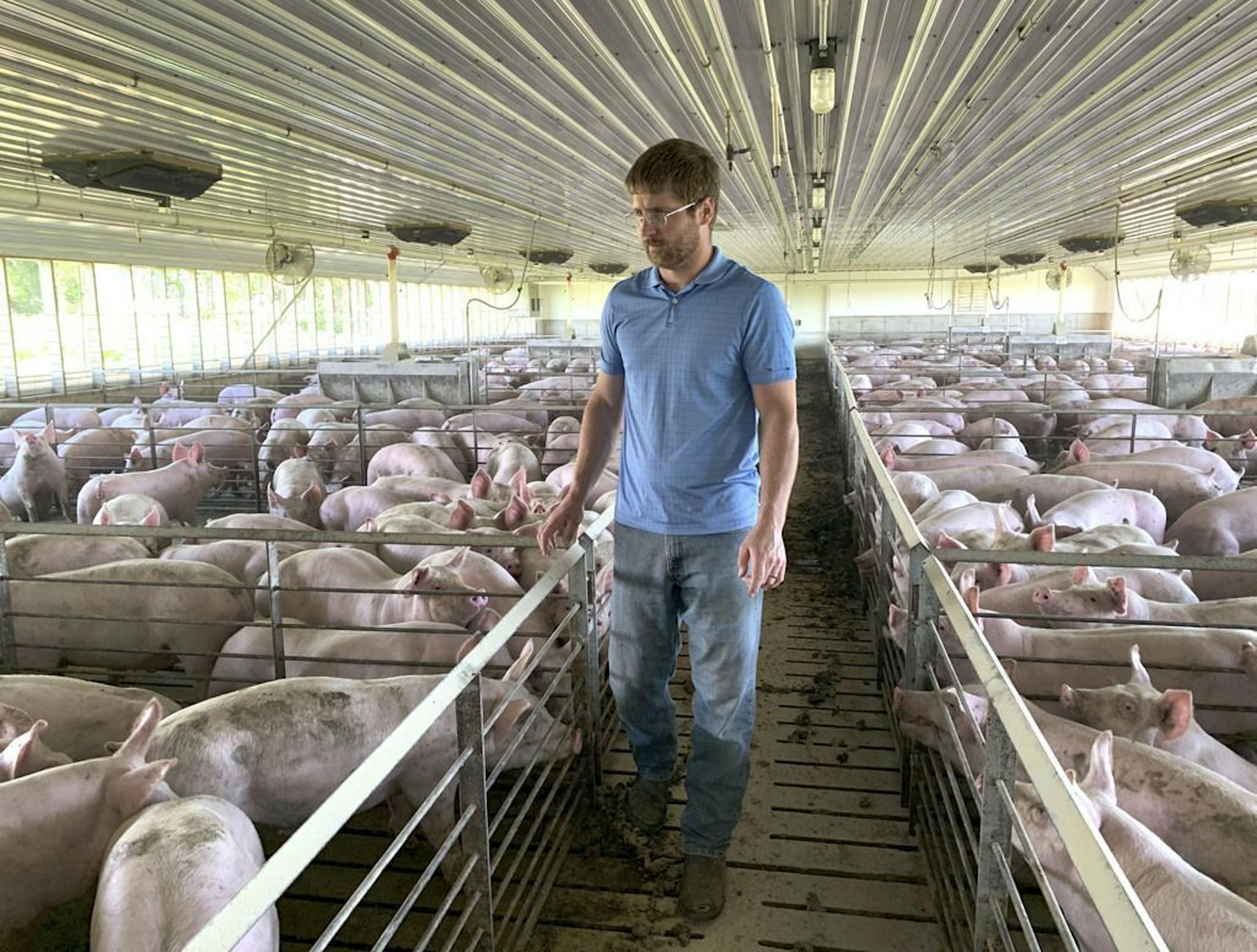 Farmer Matthew Keller walks through one of his pig barns near Kenyon, Minn. Keller, who also grows crops to feed his livestock, said he "definitely appreciated" the $143,820 he collected from the program. It didn't cover all his losses but it helped with his cash flow, he said. He reached the $125,000 cap on his hogs, and the remaining money was for his soybeans and corn.