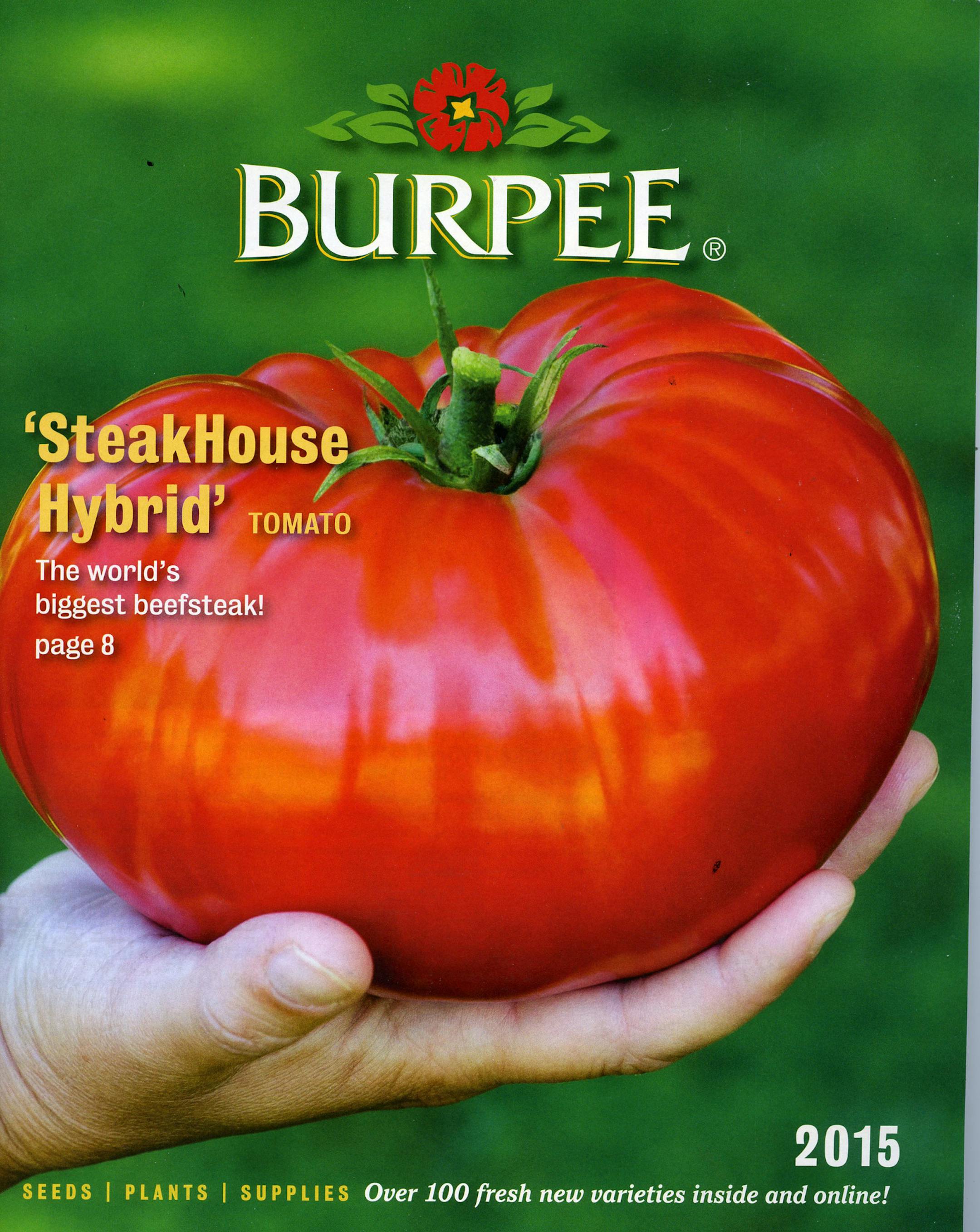 Burpee 2015 catalog