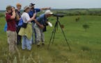 1. BioBlitz 2014 Birding: Participants in the 2014 Simon Lake BioBlitz worked with ornithologists and other experts to identify grassland songbirds an