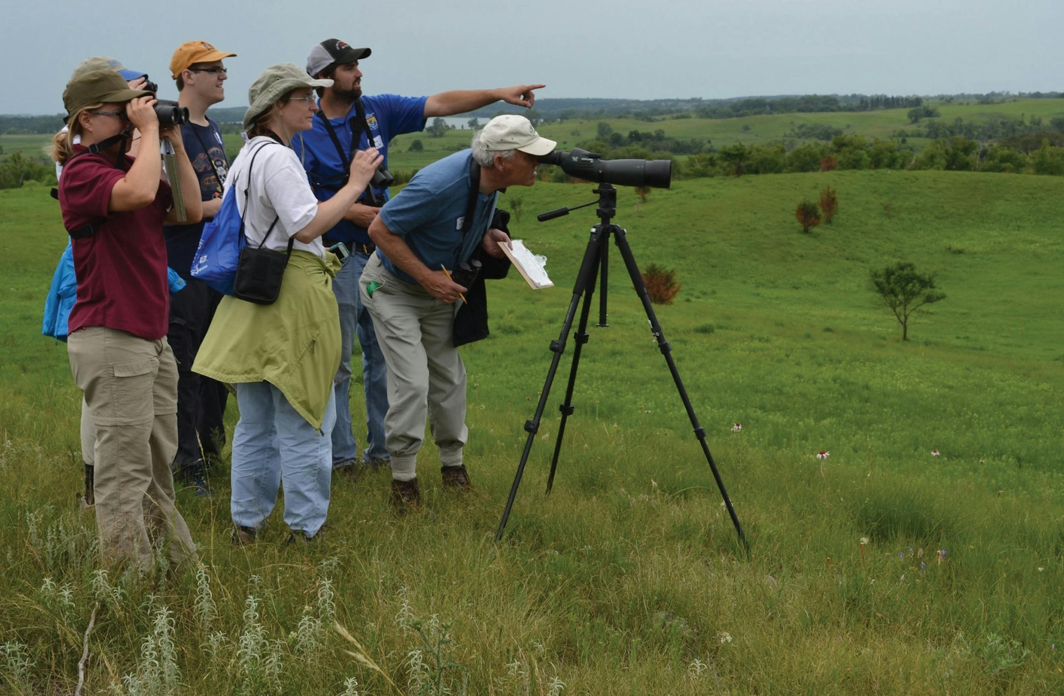 1. BioBlitz 2014 Birding: Participants in the 2014 Simon Lake BioBlitz worked with ornithologists and other experts to identify grassland songbirds and raptors that call western Minnesota prairie habitat home. Photo by Ben DeVore