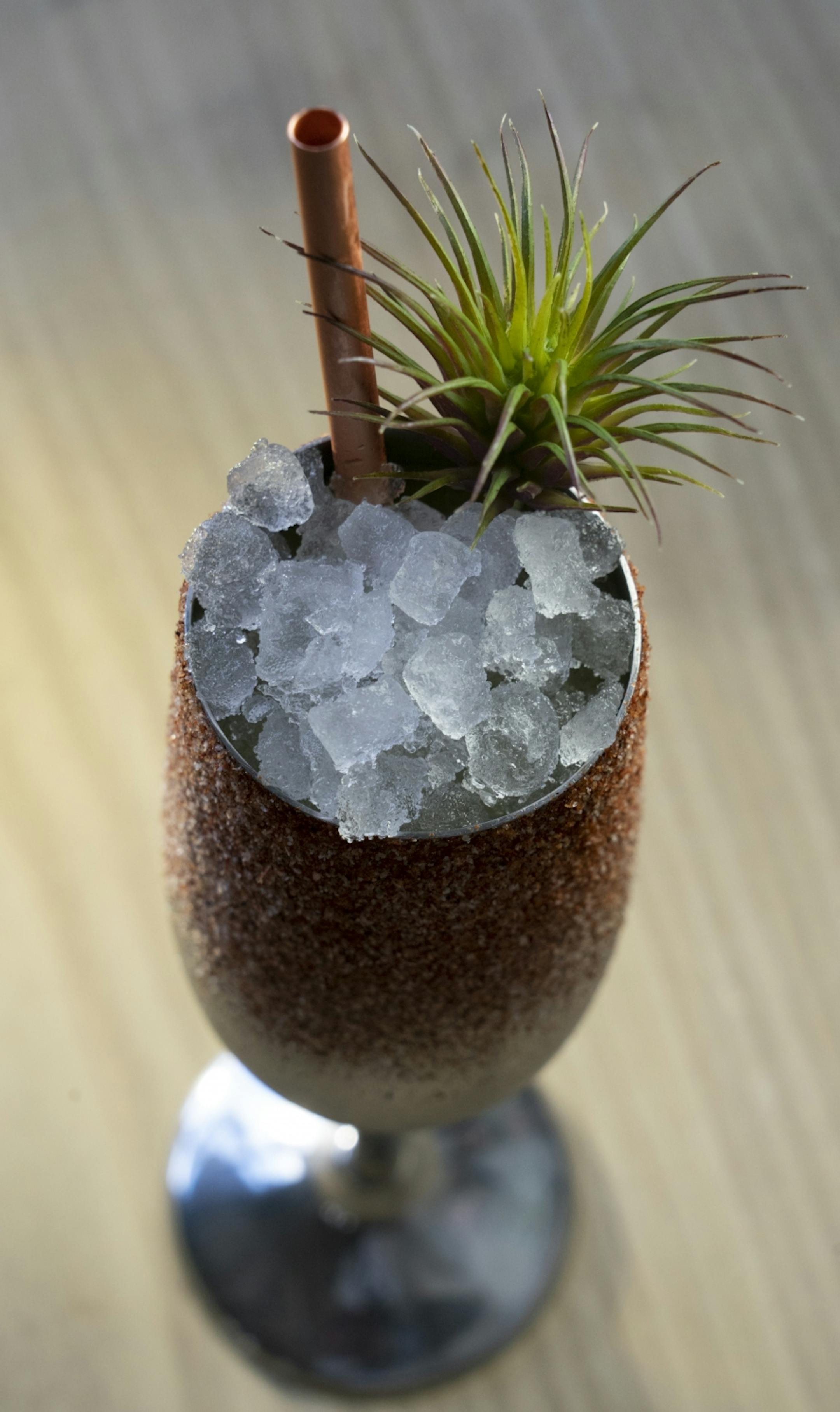 Papa Noel vodka³, lime, co² tepache (pineapple ferment)Restaurant review: Colita, the exciting new-ish bar/restaurant by chef Daniel del Prado and bartender Marco Zappia.