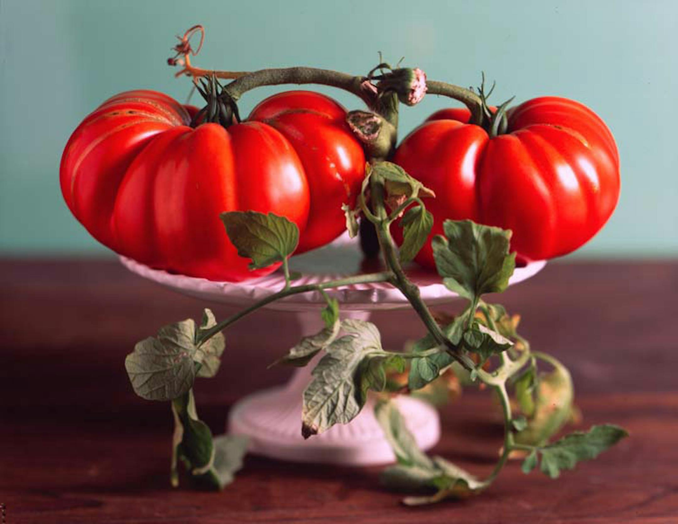 Ugly tomato from "The Heirloom Tomato" by Amy Goldman photos by Victor Schrager