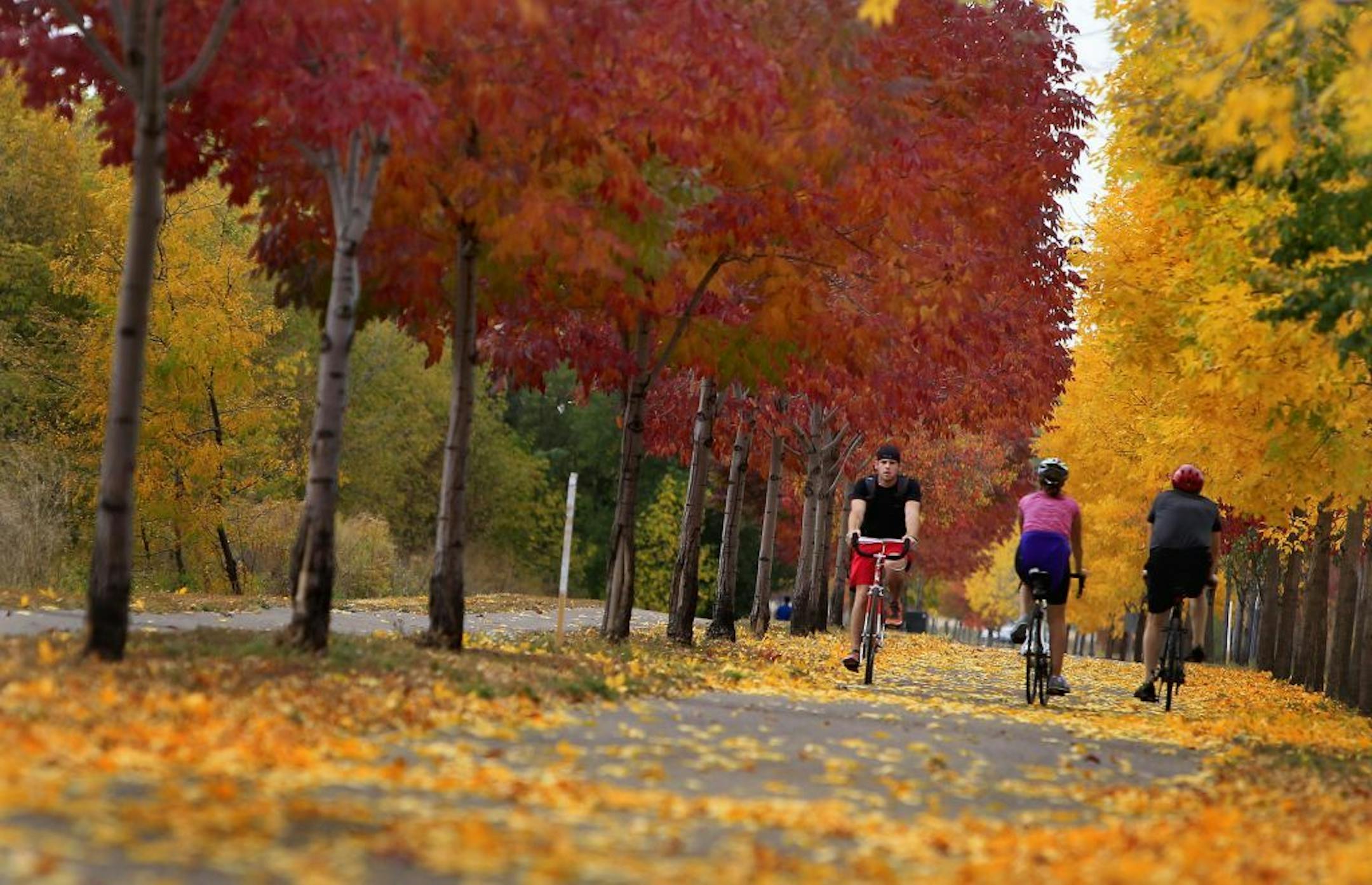 Bikers made their way along a bike path along Shepard Road near downtown St. Paul, Monday, October 1, 2012. (ELIZABETH FLORES/STAR TRIBUNE) ELIZABETH FLORES � eflores@startribune.com
