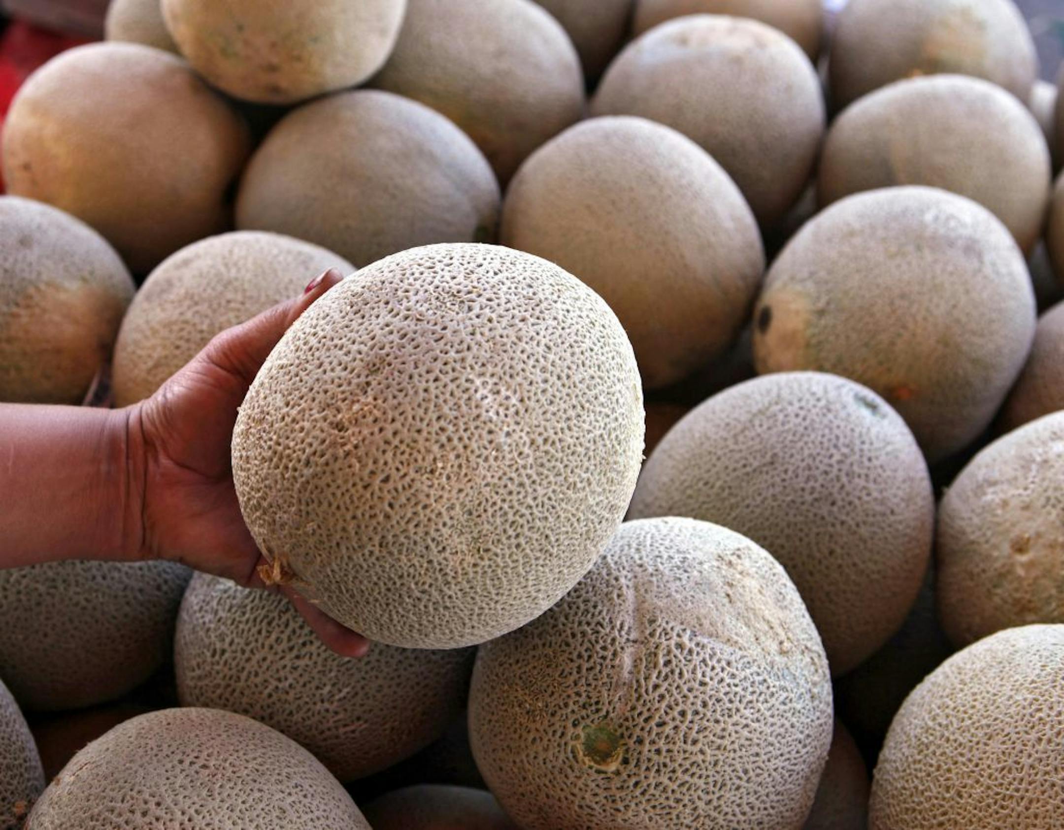 An operator of a fruit and vegetable stand near Denver holds a California-grown cantaloupe for sale at her business on Friday, Sept. 16, 2011. Federal and state officials have isolated a deadly outbreak of listeria to one cantaloupe farm near Holly, Colo. They have ordered a recall of 300,000 cases of melons grown on the Jensen Farms. Only California-grown cantaloupe could be found in Denver markets.