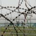 South Korean army soldiers pass by the barbed-wire fence in Paju, South Korea, near the border with North Korea, Friday, April 19, 2024.