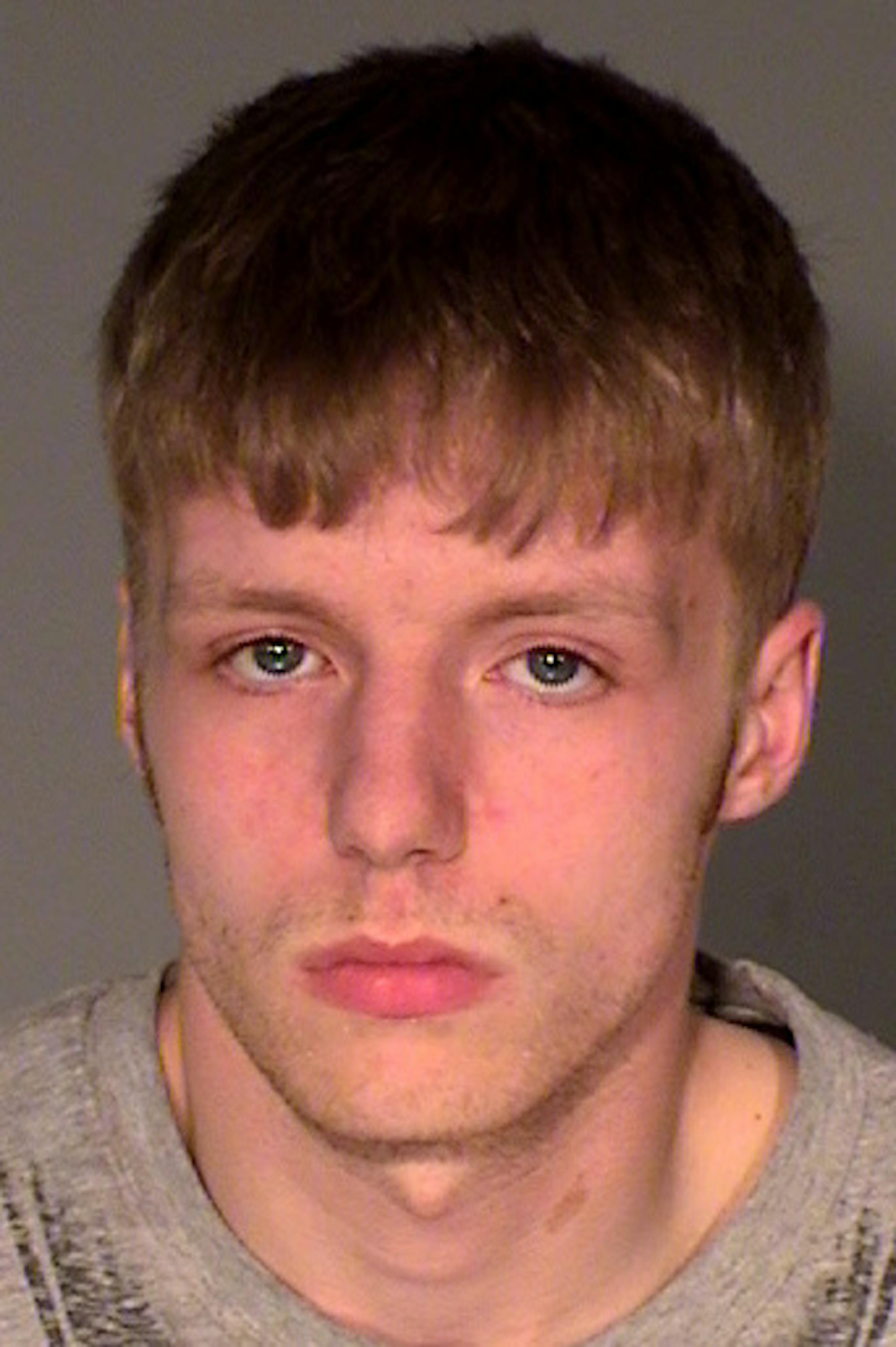 Derek J. Field, 23, is charged in Ramsey County District Court with electronic solicitation of a child for sex.