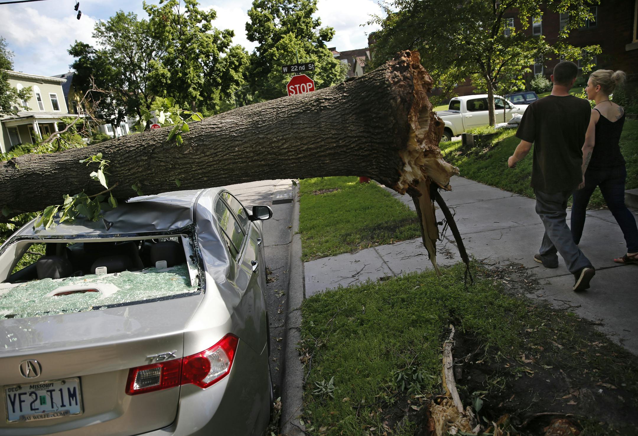 In the Whittier neighborhood of Minneapolis, a tree perfectly balanced itself on top of this sedan and an SUV.