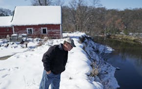 Retired conservationist Tom Kalahar inspected the banks of Hawk Creek, which he said is an example of what can happen when waterways are mismanaged. T