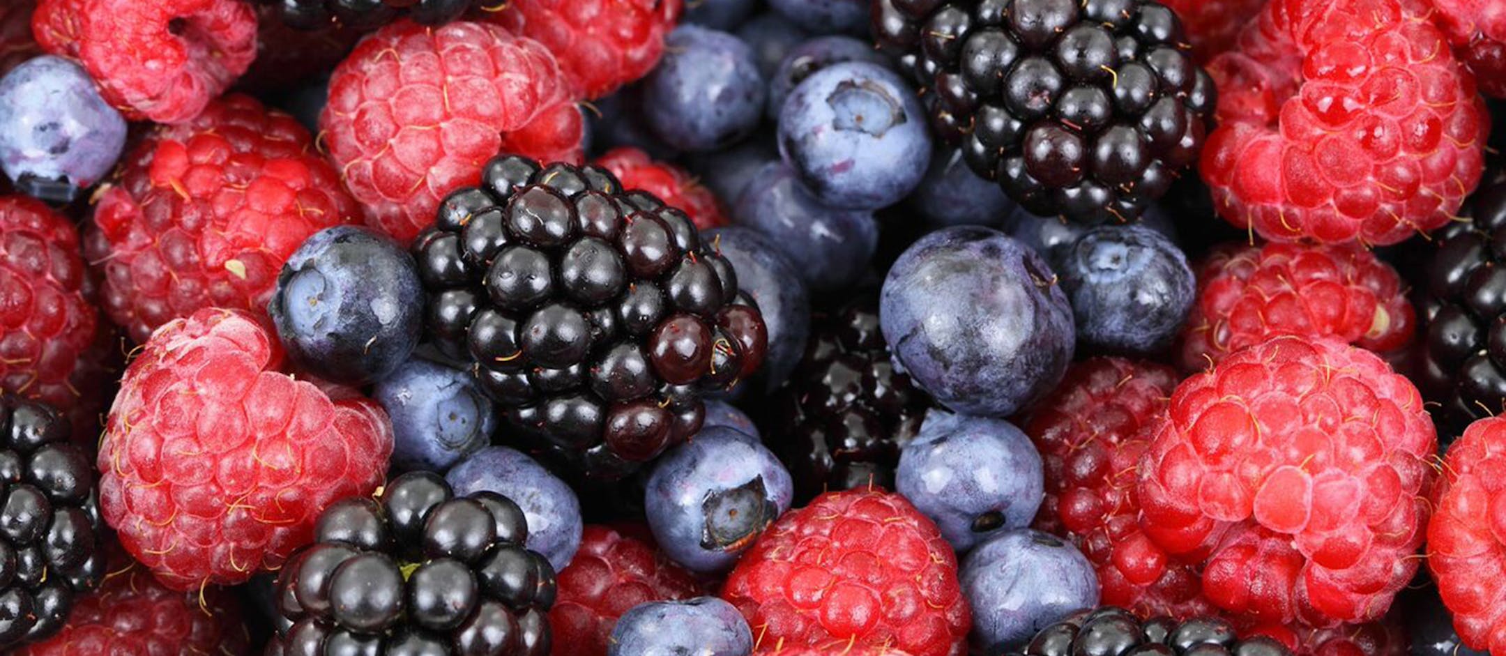 Berries ORG XMIT: MIN1804091132002450