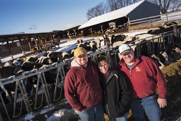 Tyler Otte and his parents Chicky and Blake won "Minnesota Farm of the Year" for their Square Deal Dairy Farm in Dakota County.Richard Tsong-Taatarii/