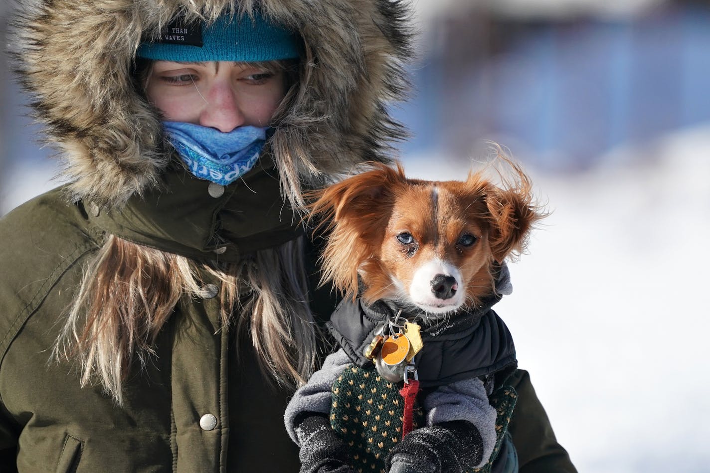 Katy Nordhagen walked carrying her 3-year-old dog Peppers after taking him out for a bathroom break Wednesday in northeast Minneapolis.