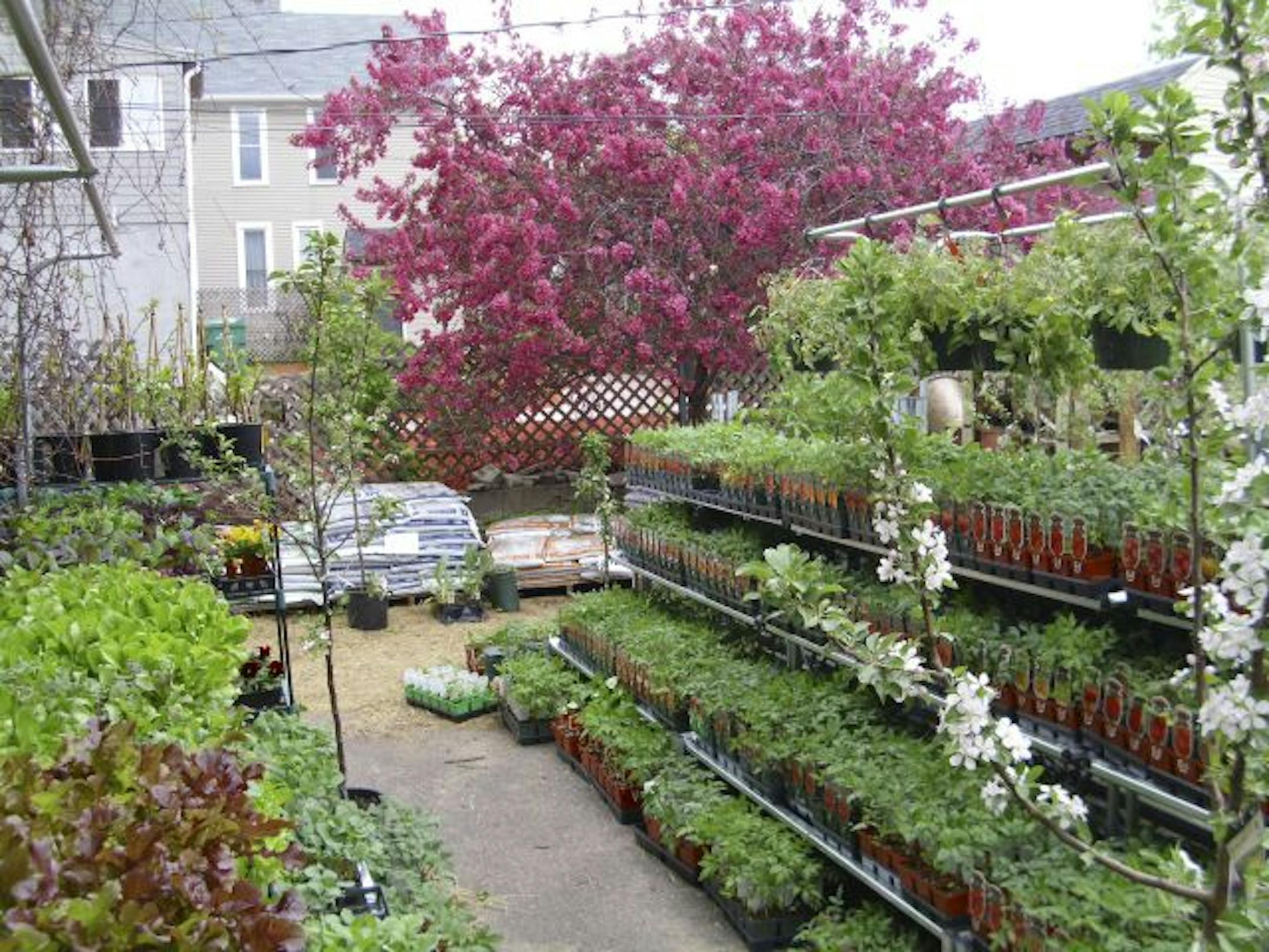 Egg Plant Urban Farm Supply opened in April in St. Paul.
