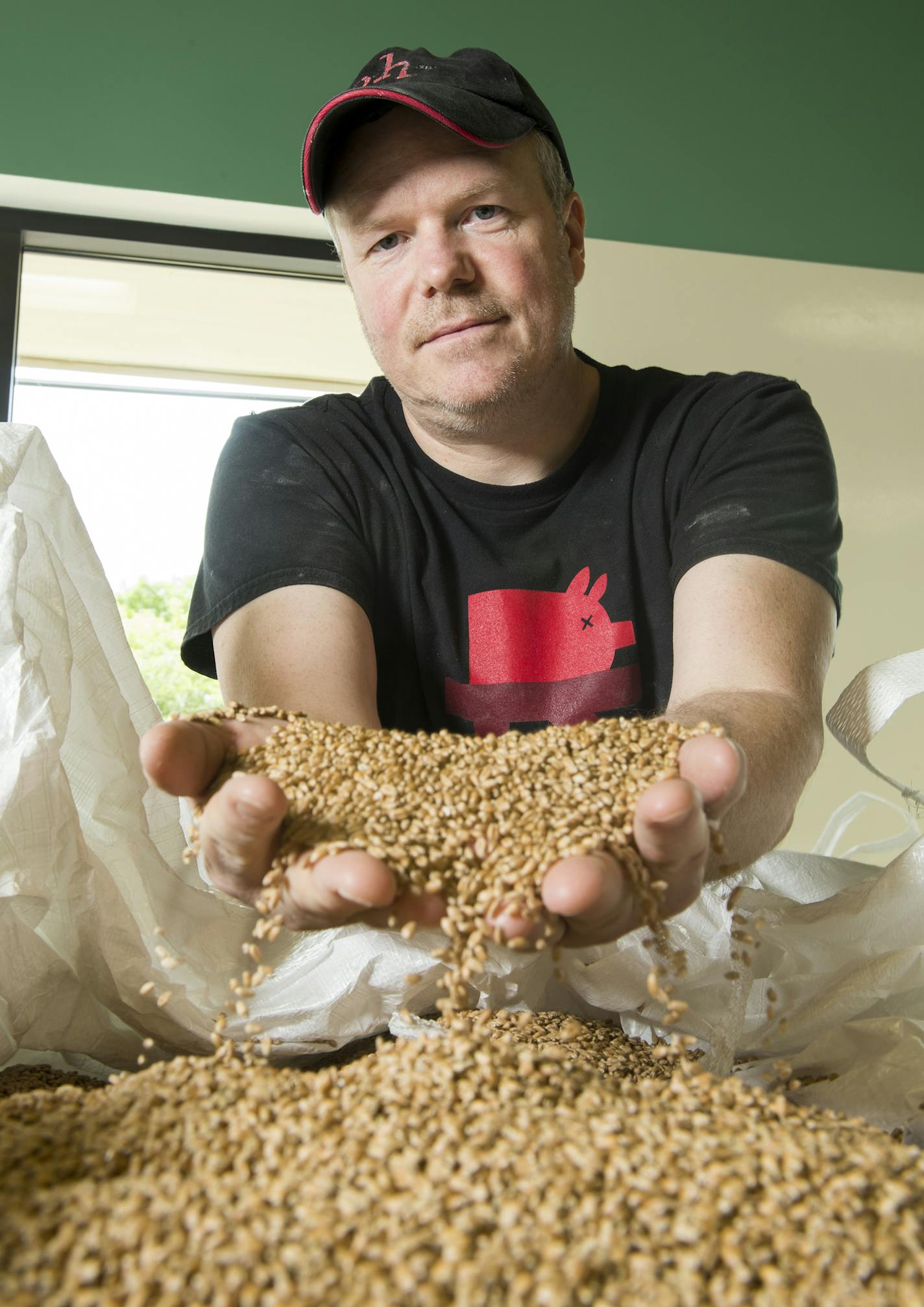 Steve Horton holds hard spring wheat grains at his Baker's Field Flour & Bakery.