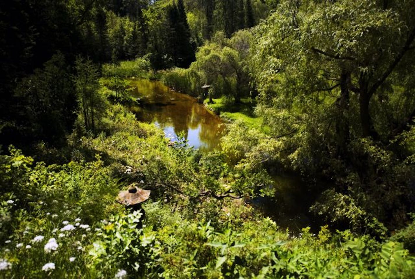 The Sauk River flows through Ron Wienhold's arboretum-like garden. He makes his own Japanese-style lanterns.