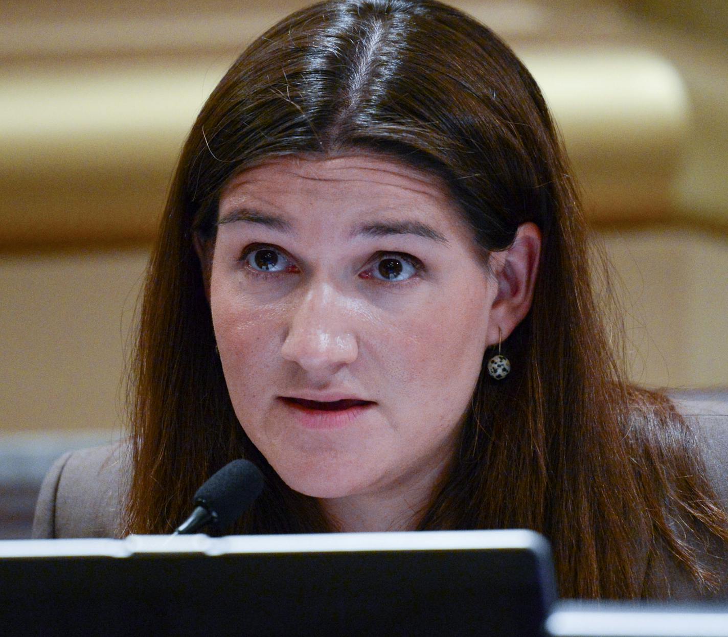 Council Member Linea Palmisano, shown in 2014,  was the lone dissenter on the council's Public Health &amp; Safety Committee.