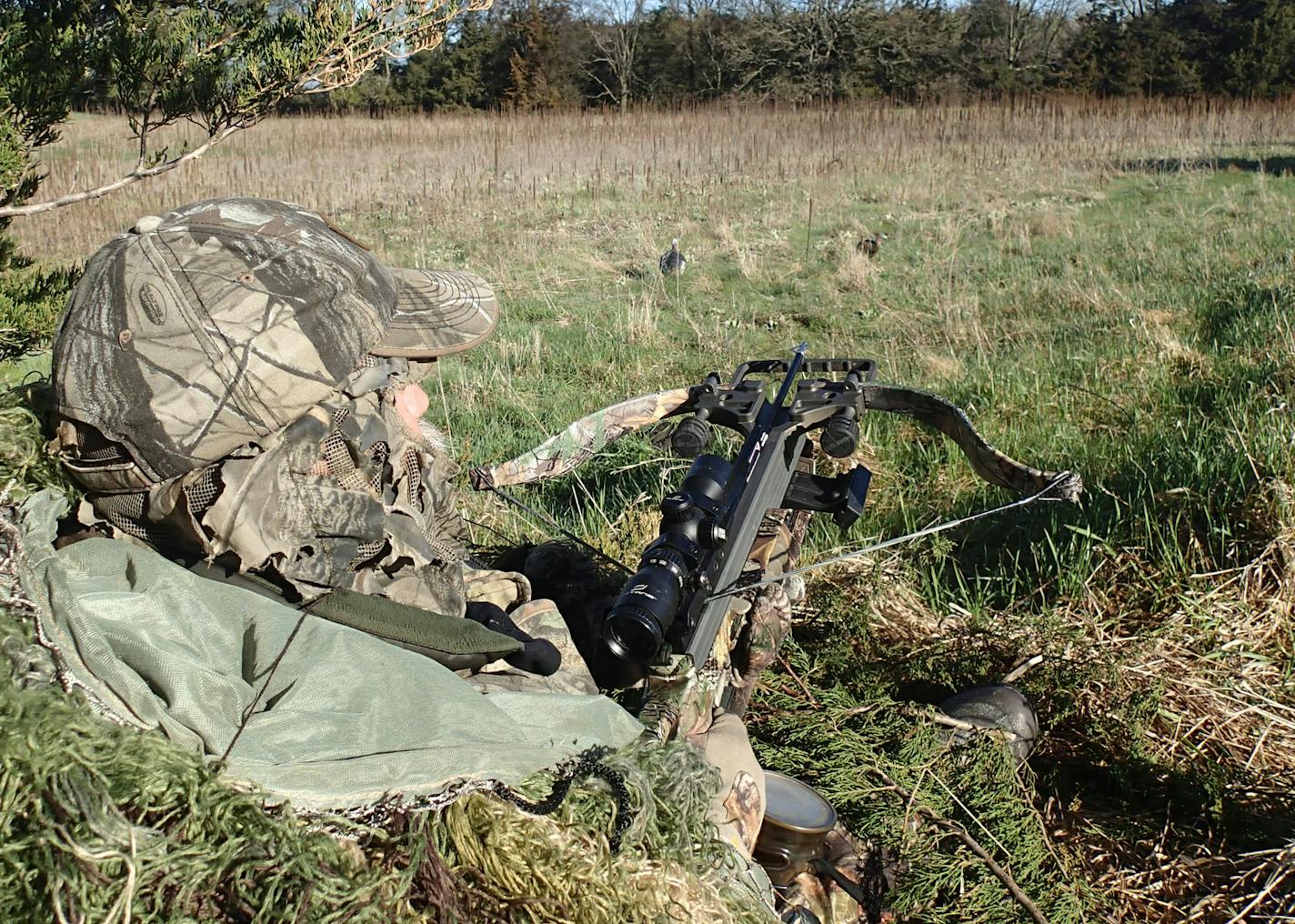 Tom Kalahar of Olivia, Minn., hunted wild turkeys with his crossbow last week in the Minnesota River Valley. Minutes earlier five young male turkeys or "jakes" strolled near his two decoys, but Kalahar elected to wait for a mature tom turkey. He didn't get a bird this day.