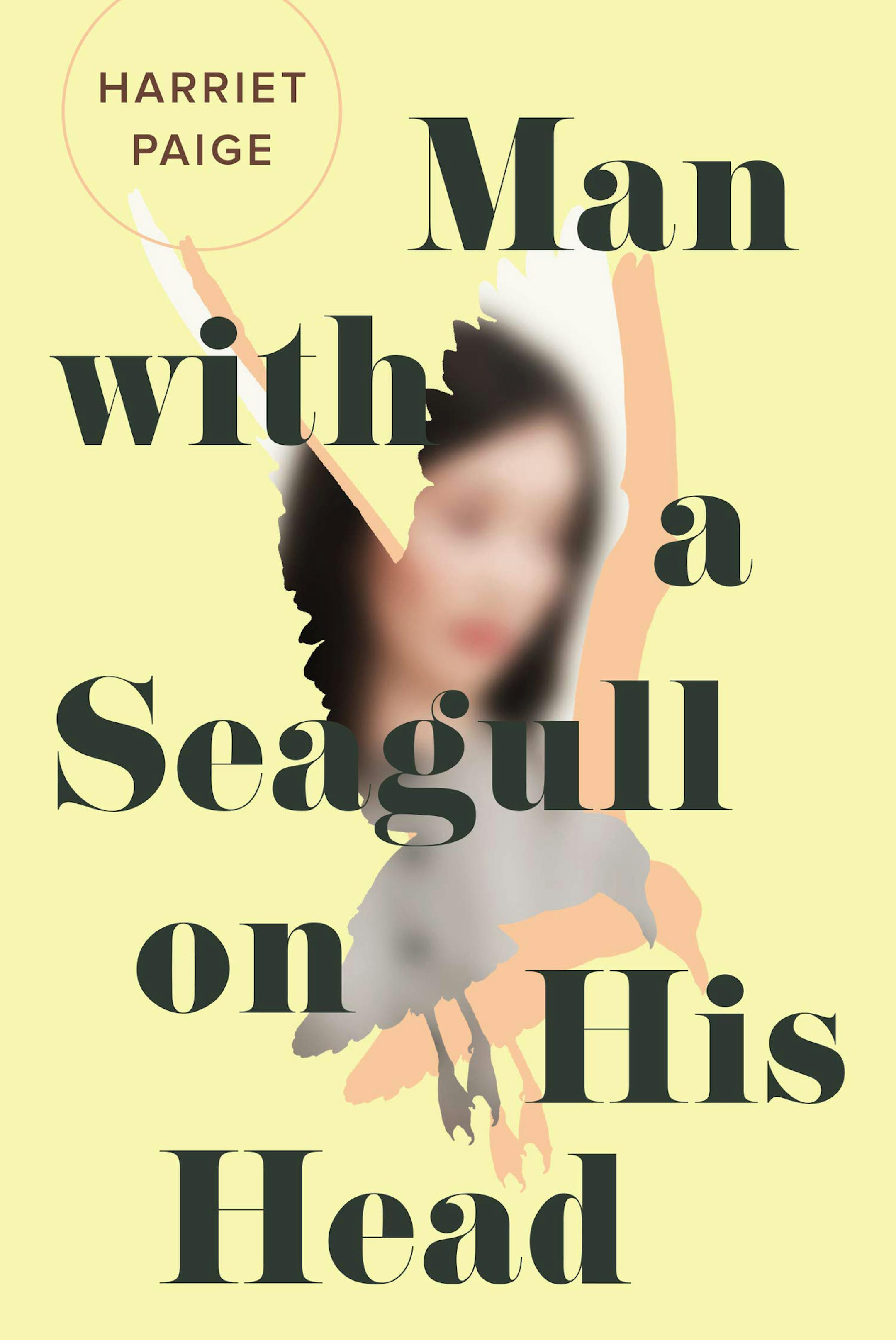 "Man With a Seagull on His Head" by Harriet Paige