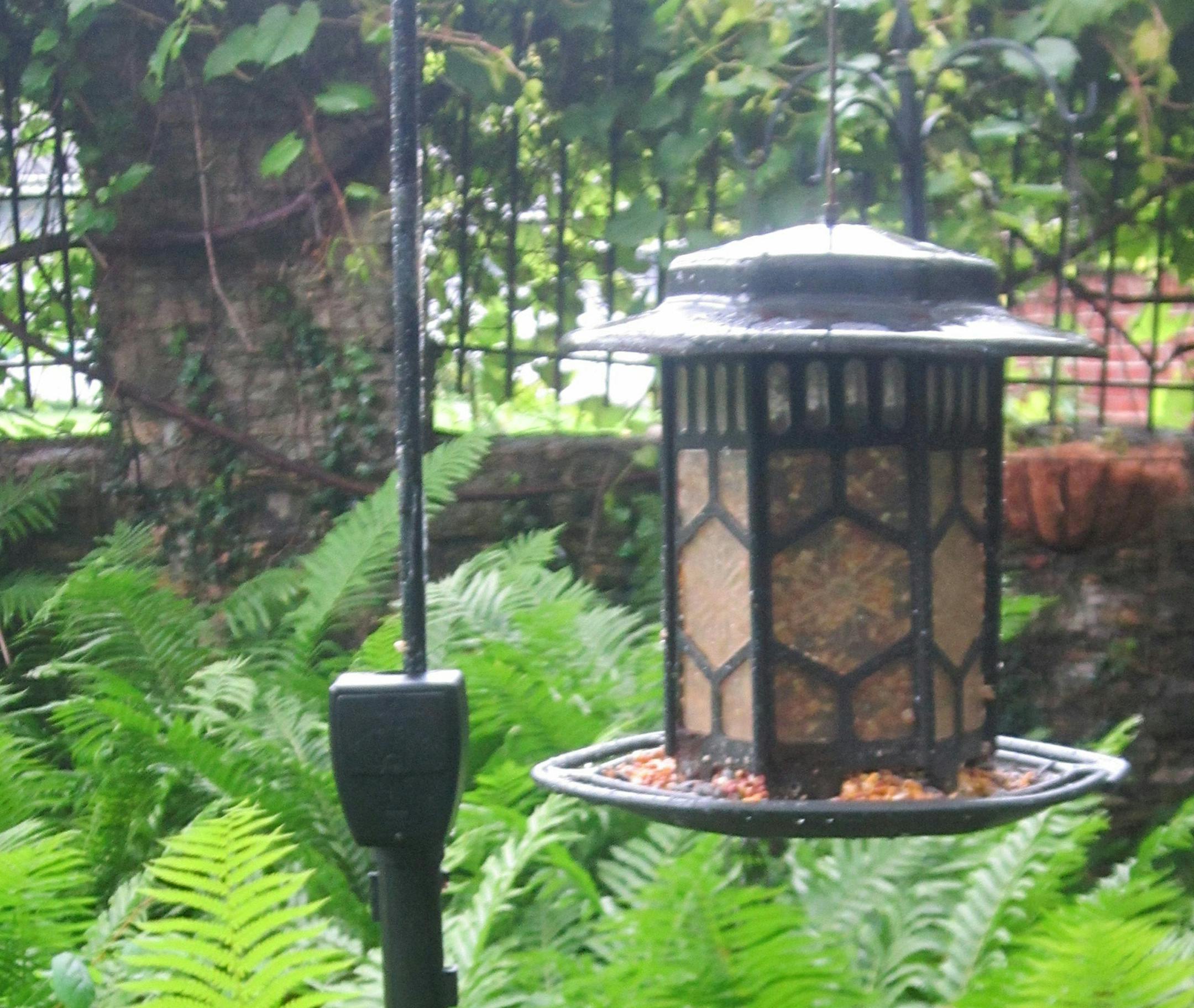 The Feeder Guard attaches to any feeder or birdhouse pole and emits a static electricity shock to any squirrel, chipmunk or raccoon that tries to climb past it to get to the feeder.
