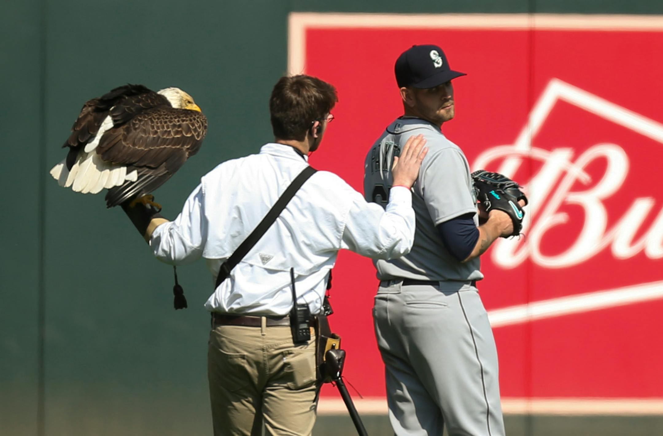 The handler for an American Eagle that was to fly to the pitcher's mound during the national anthem, comforted Seattle Mariners starting pitcher James Paxton, a Canadian, after the eagle chose to land on his shoulder instead. ] JEFF WHEELER ï jeff.wheeler@startribune.com The Minnesota Twins played the Seattle Mariners in their home opener Thursday afternoon, April 5, 2018 at Target Field in Minneapolis.