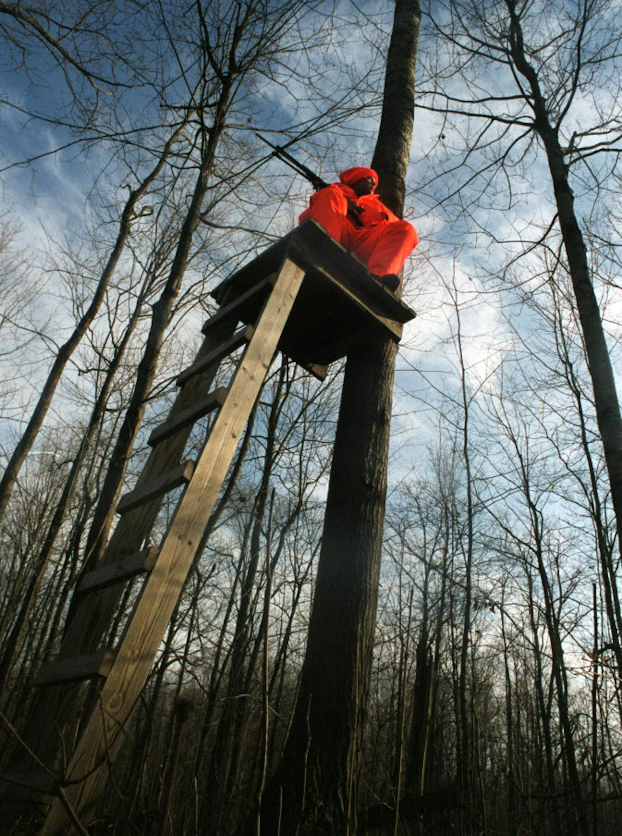 The part of northwest Wisconsin favored by many Minnesotans for deer hunting is dominated in many areas by hardwoods, rather than forests of pine and spruce, which are common in northern Minnesota. ORG XMIT: MIN2014102917391369