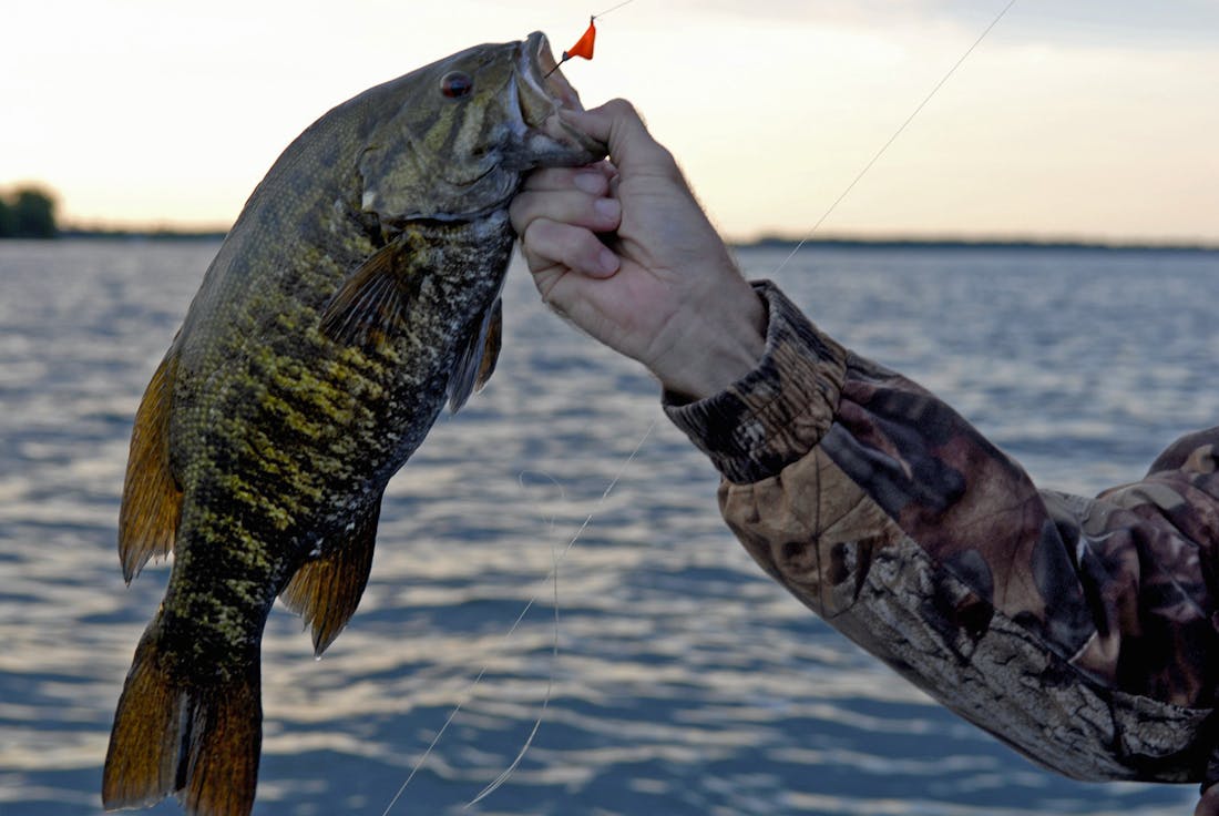 Ice Out Smallmouth 