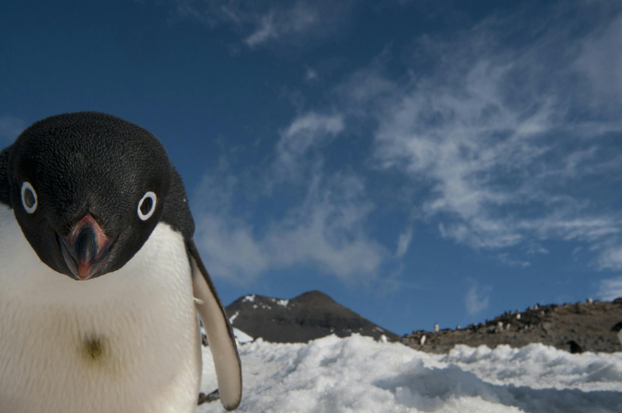 Photography symposium at the Mn Landscape Arboretum by nature photographer Chris Linder. ORG XMIT: 2009_Skua