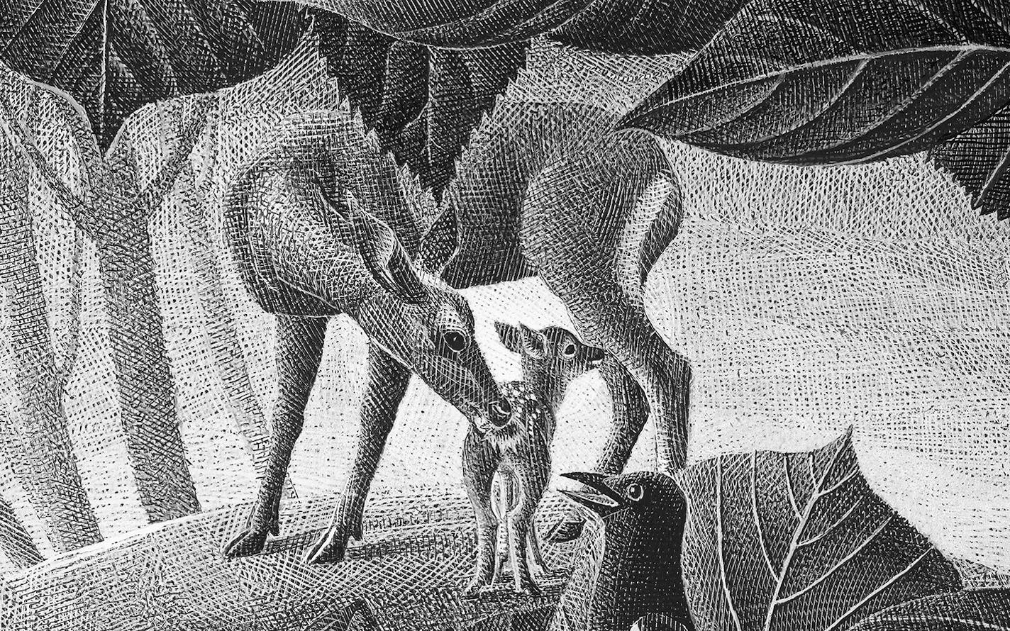 Illustrations by Alenka Sottler from "The Original Bambi: The Story of a Life in the Forest"