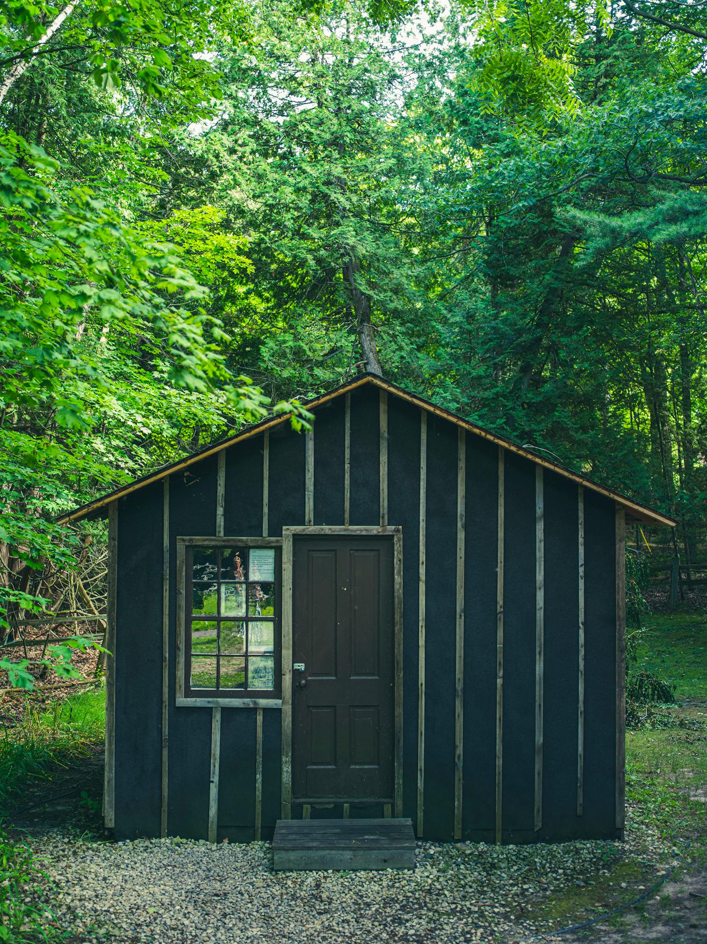 The tar-paper shack where Thorstein Veblen spent his summers on Washington Island, Wis., in August 2023. Veblen, the Norwegian American economist who coined the term 'conspicuous consumption,' spent nearly 30 years learning Icelandic from the locals who still spoke it. (Narayan Mahon/The New York Times)