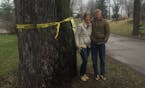 Mary and Joe Schmidt of Minnetonka near one of their neighborhood trees scheduled to be cut dow.