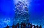 Visitors stand in front of the monumental panoramic artwork 'Great Barrier Reef', which is printed on cloth widths, of artist Yadegar Asisi during a p