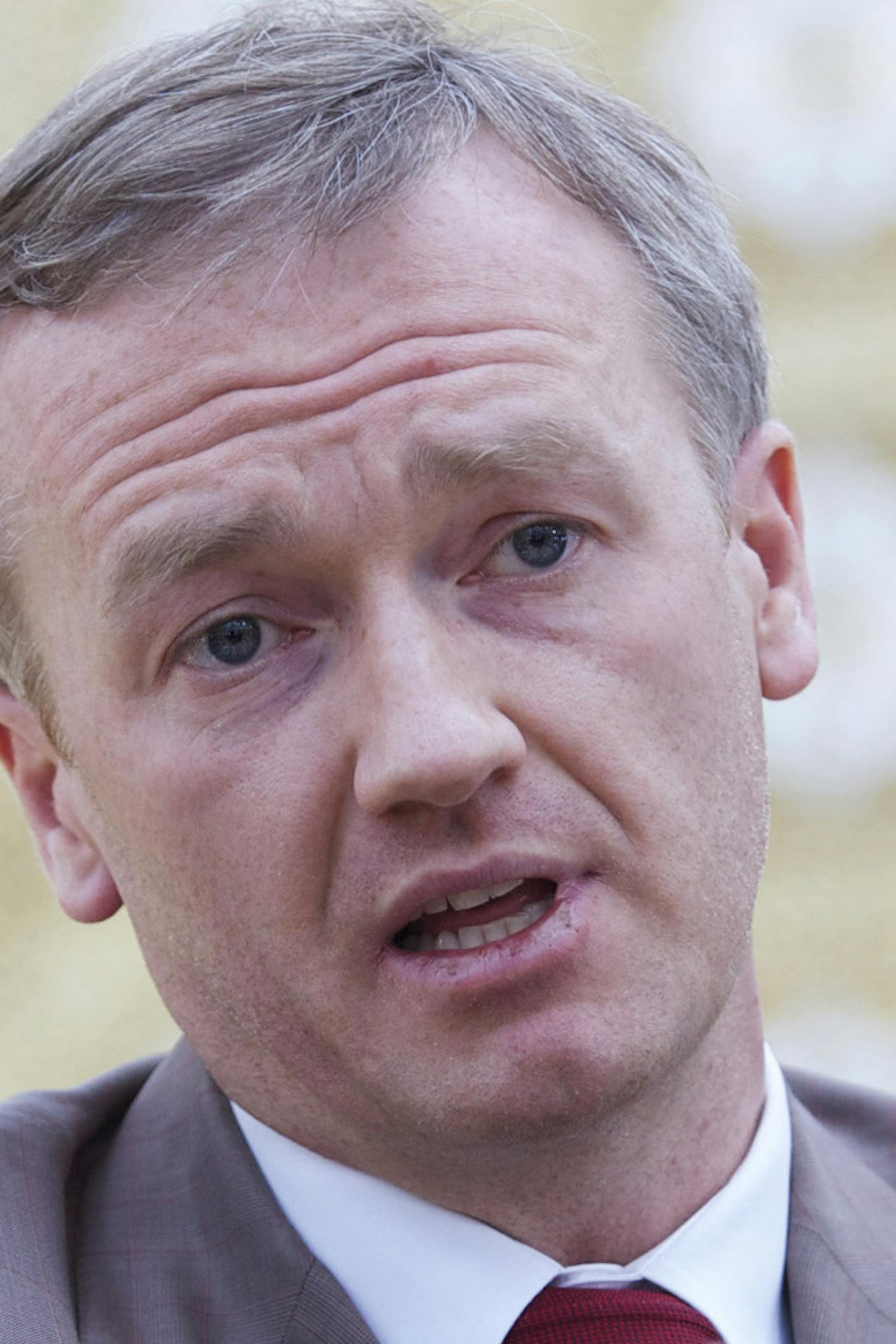 Vladislav Baumgertner