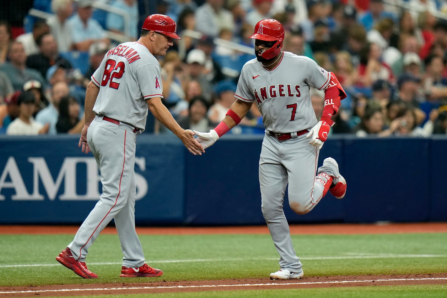 Los Angeles Angels' Jo Adell (7) celebrates his two-run home run off Tampa Bay Rays relief pitcher Shawn Armstrong with third base coach Bill Haselman (82) during the sixth inning of a baseball game Thursday, Sept. 21, 2023, in St. Petersburg, Fla. (AP Photo/Chris O'Meara)