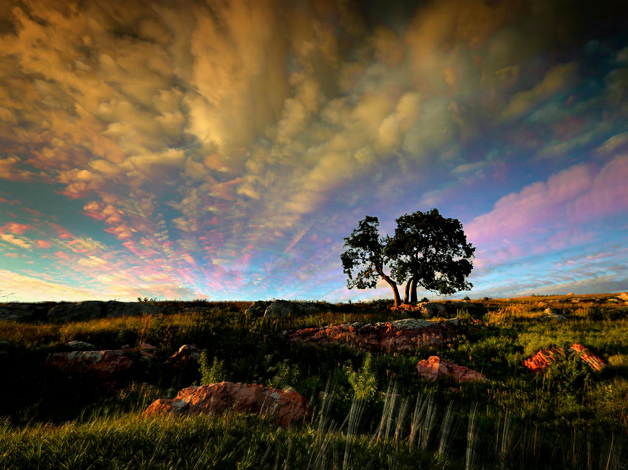 In this multi-frame exposure, waves of clouds paint the sky as the late afternoon sun skims across the prairie framing the Three Sisters Hackberry Tree at Blue Mounds State Park. Entering the park and all state parks will cost more starting in July after the Legislature increased visitor fees. ORG XMIT: MIN1704141238010414