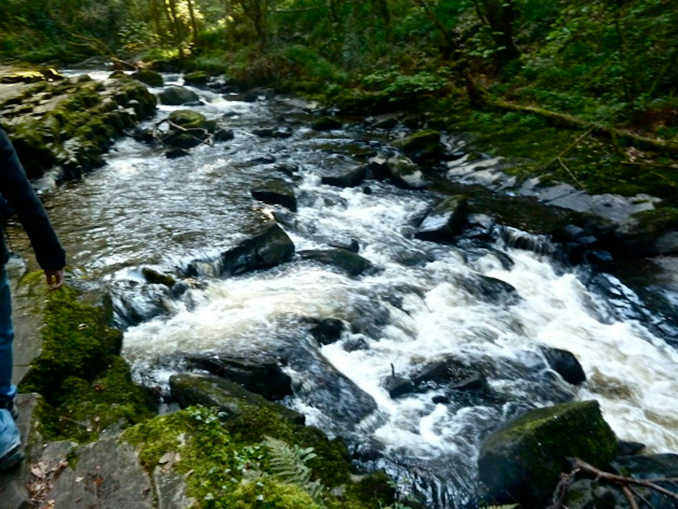 The Clare Glens